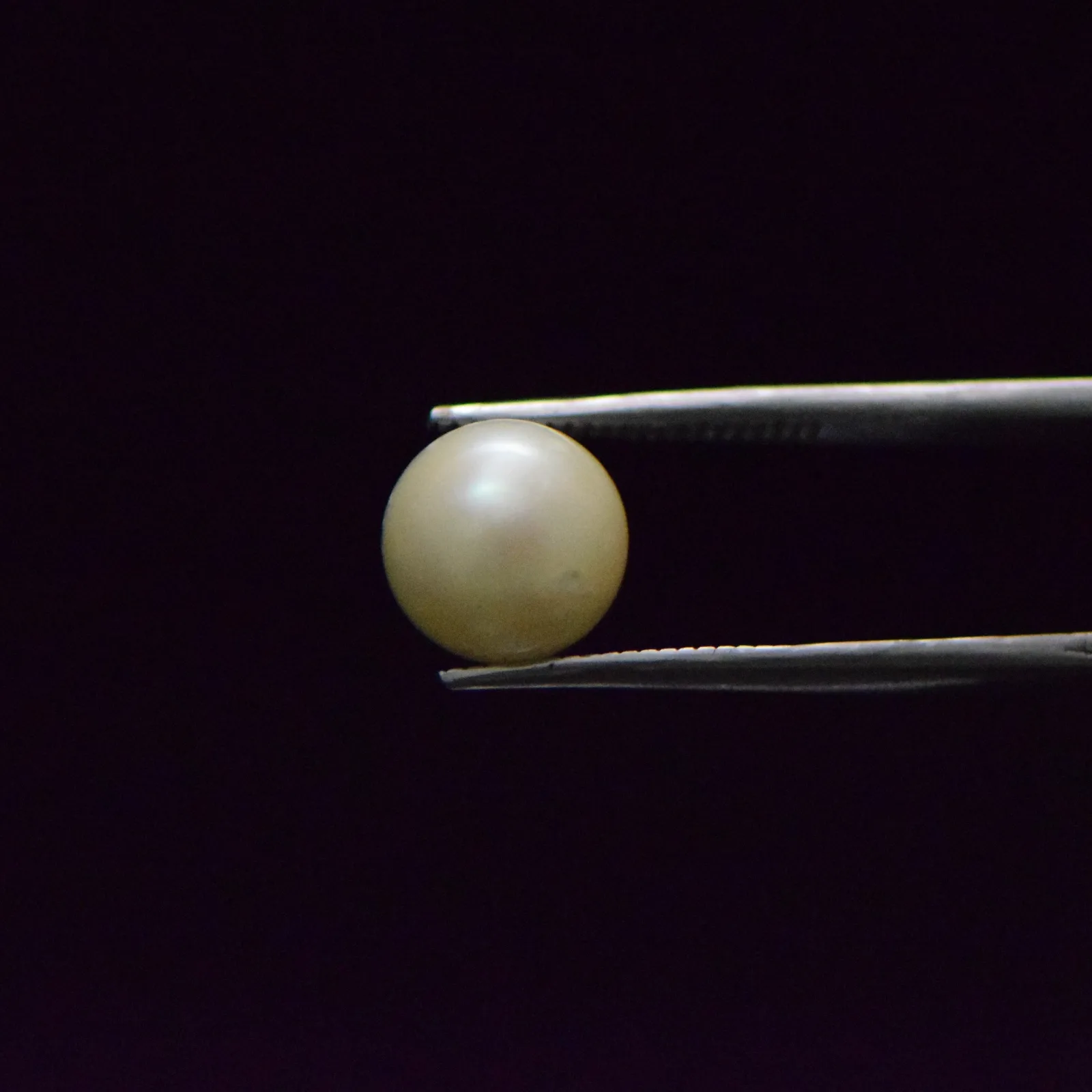 South Sea Pearl - 7.67 Carat