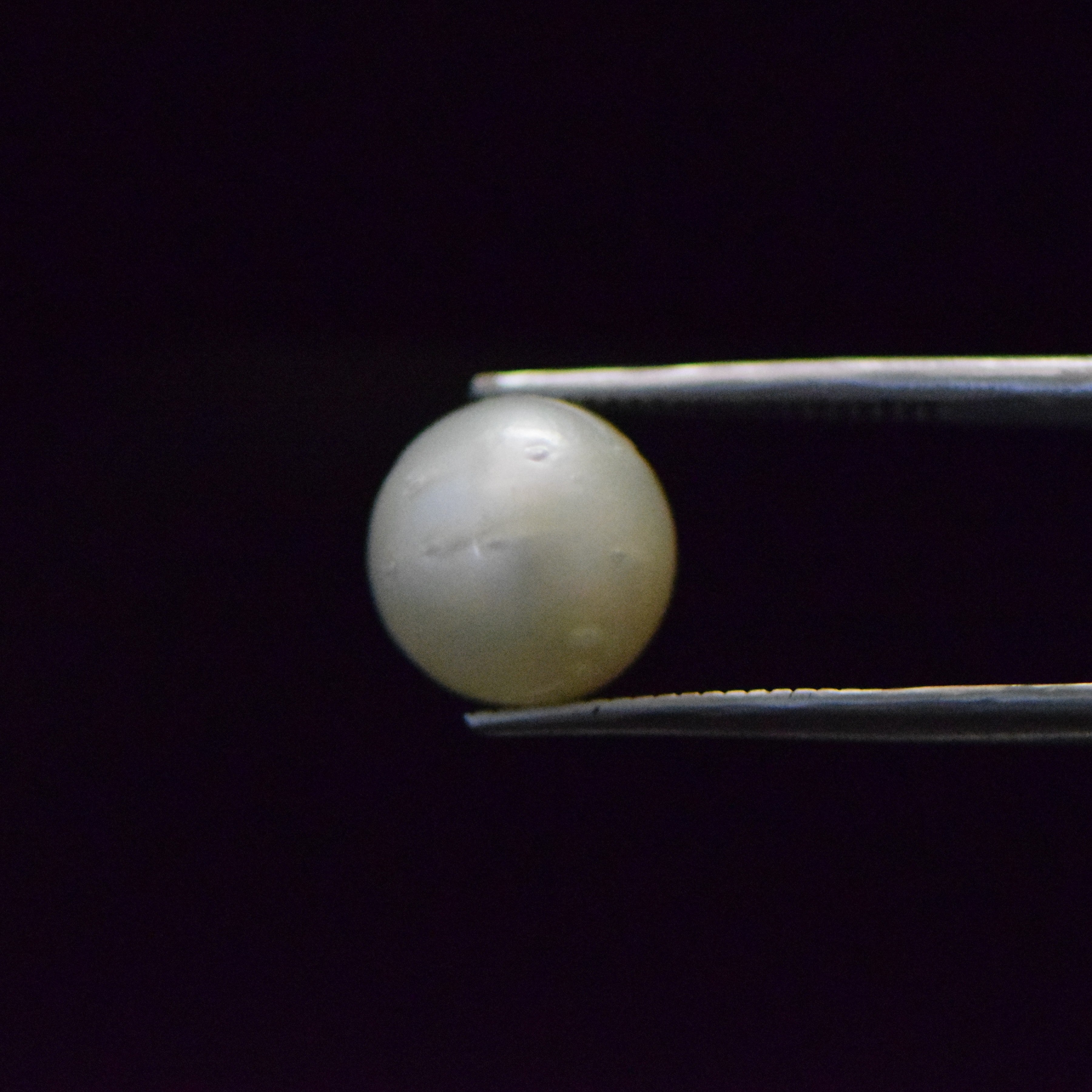 South Sea Pearl - 9.18 Carat