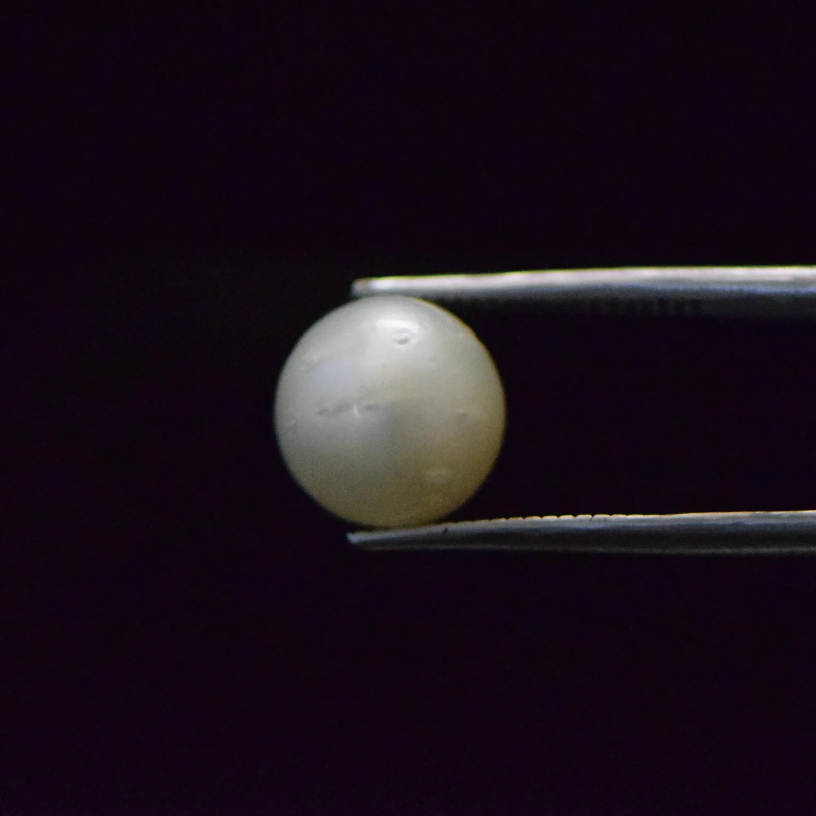 South Sea Pearl - 9.18 Carat
