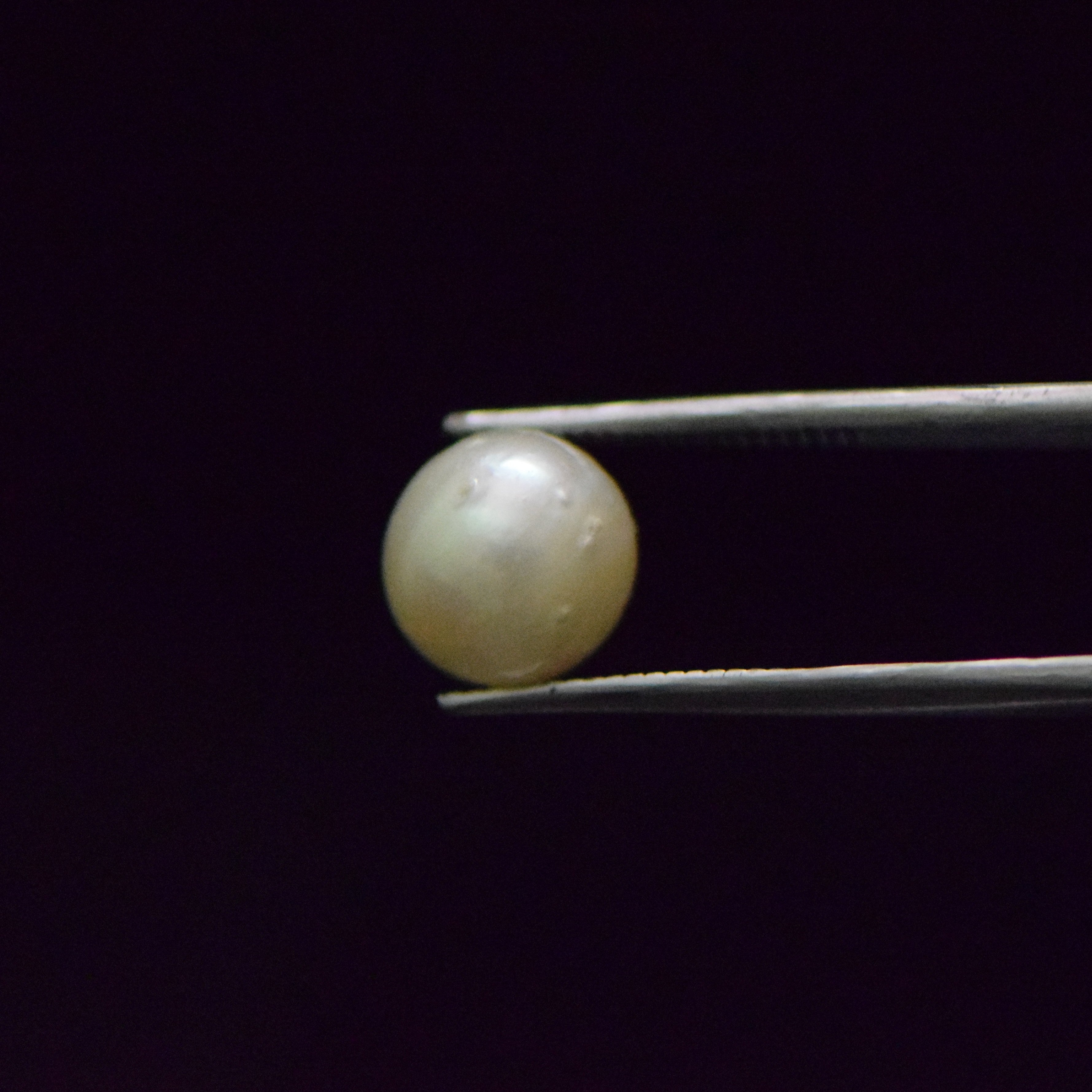 South Sea Pearl - 7.45 Carat