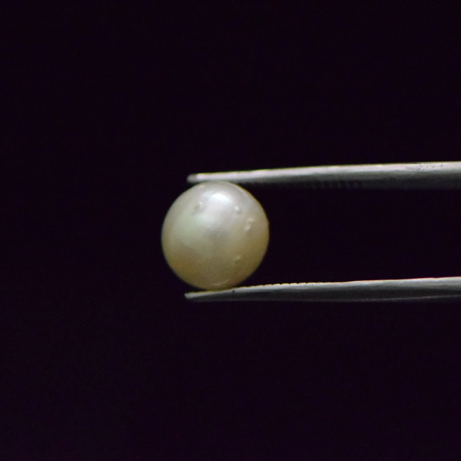South Sea Pearl - 7.45 Carat
