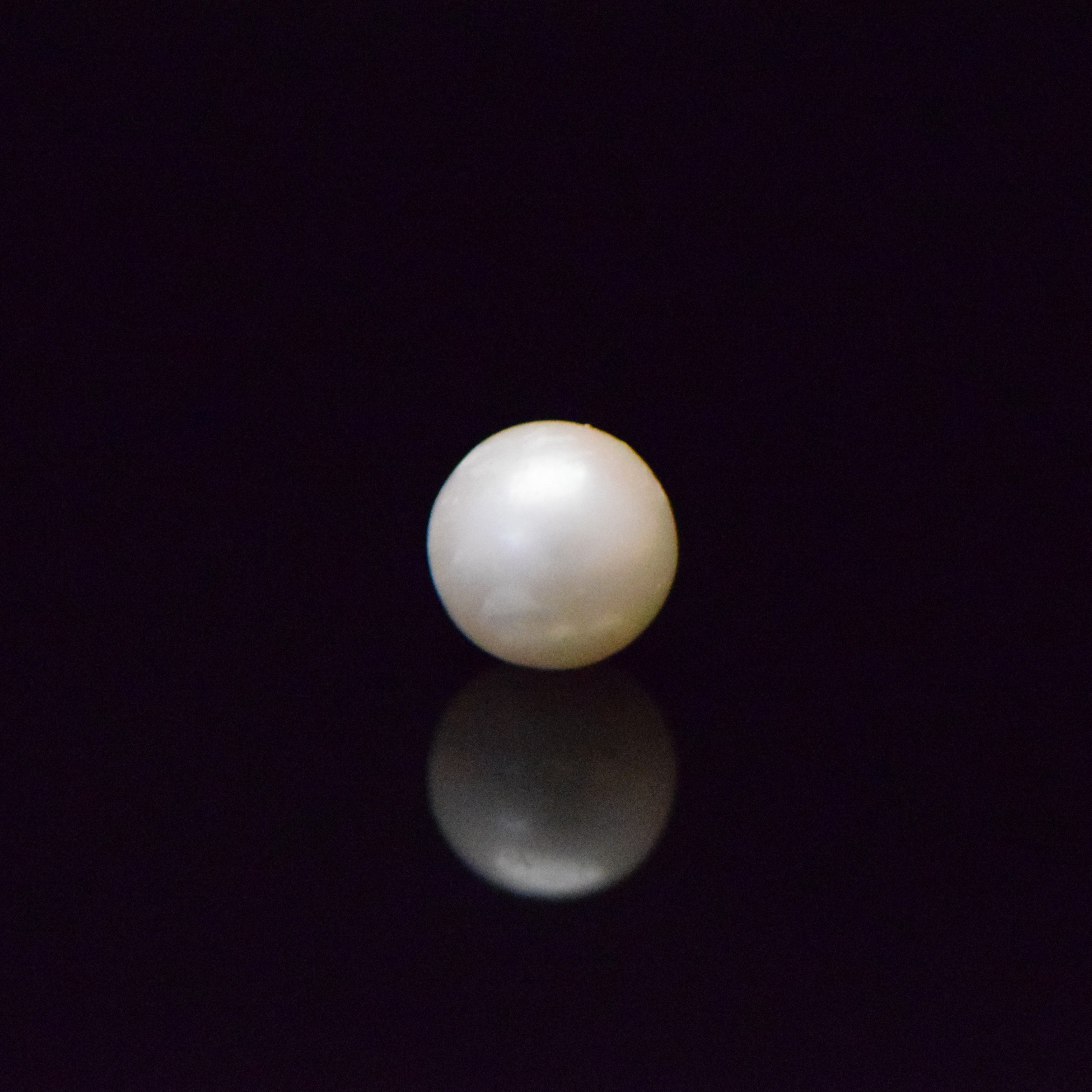 South Sea Pearl - 7.37 Carat