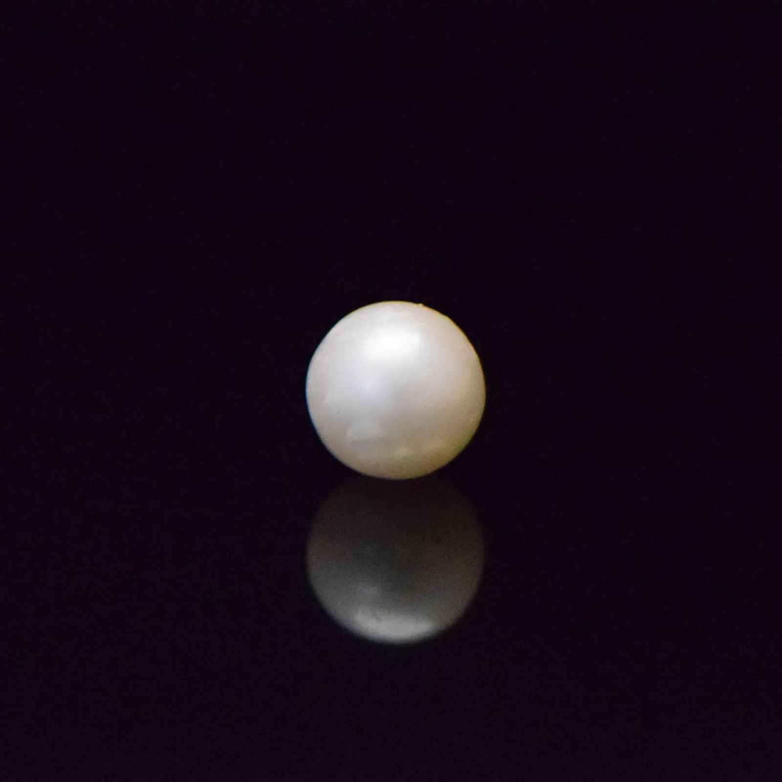 South Sea Pearl - 7.37 Carat