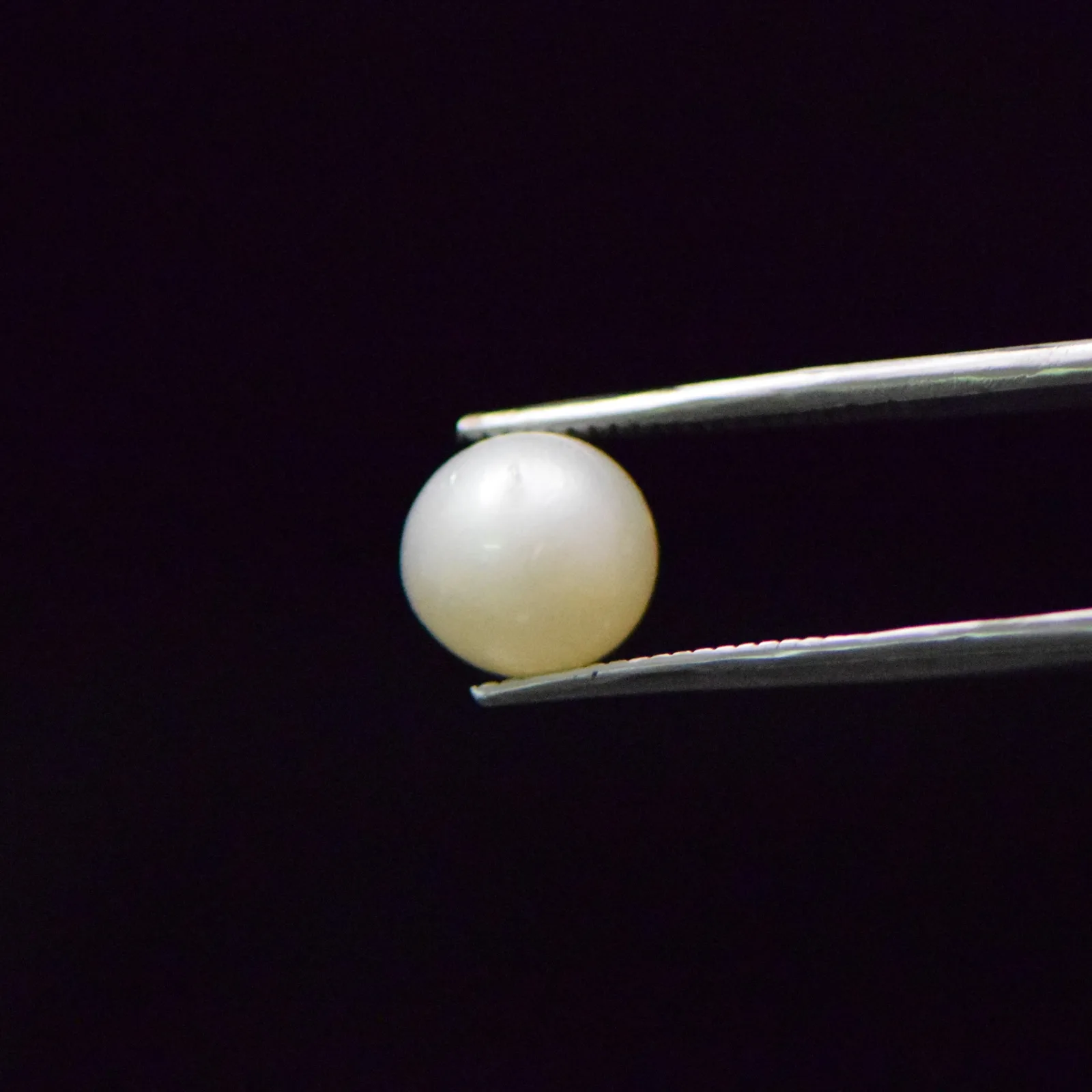 South Sea Pearl - 5.57 Carat