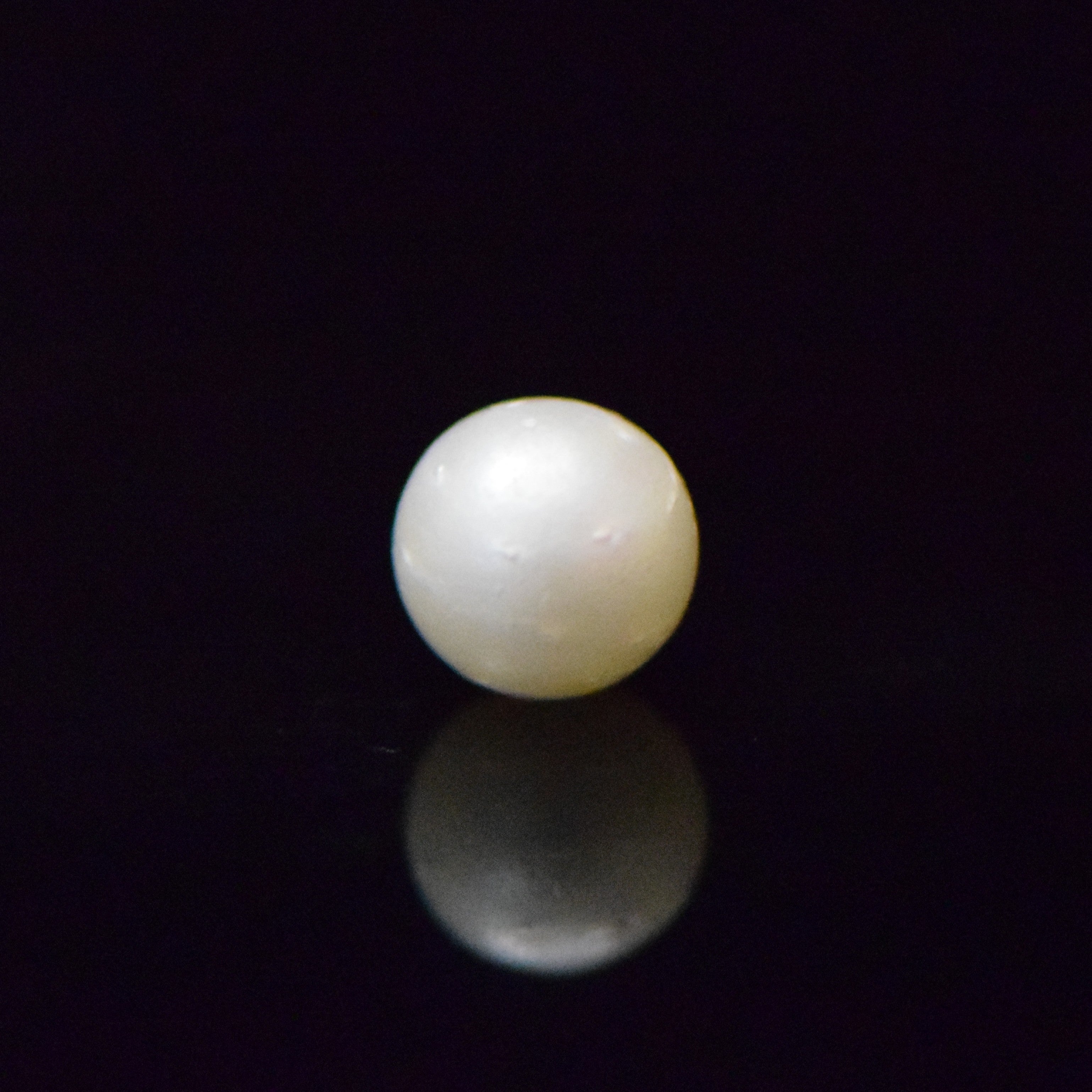 South Sea Pearl - 8.43 Carat