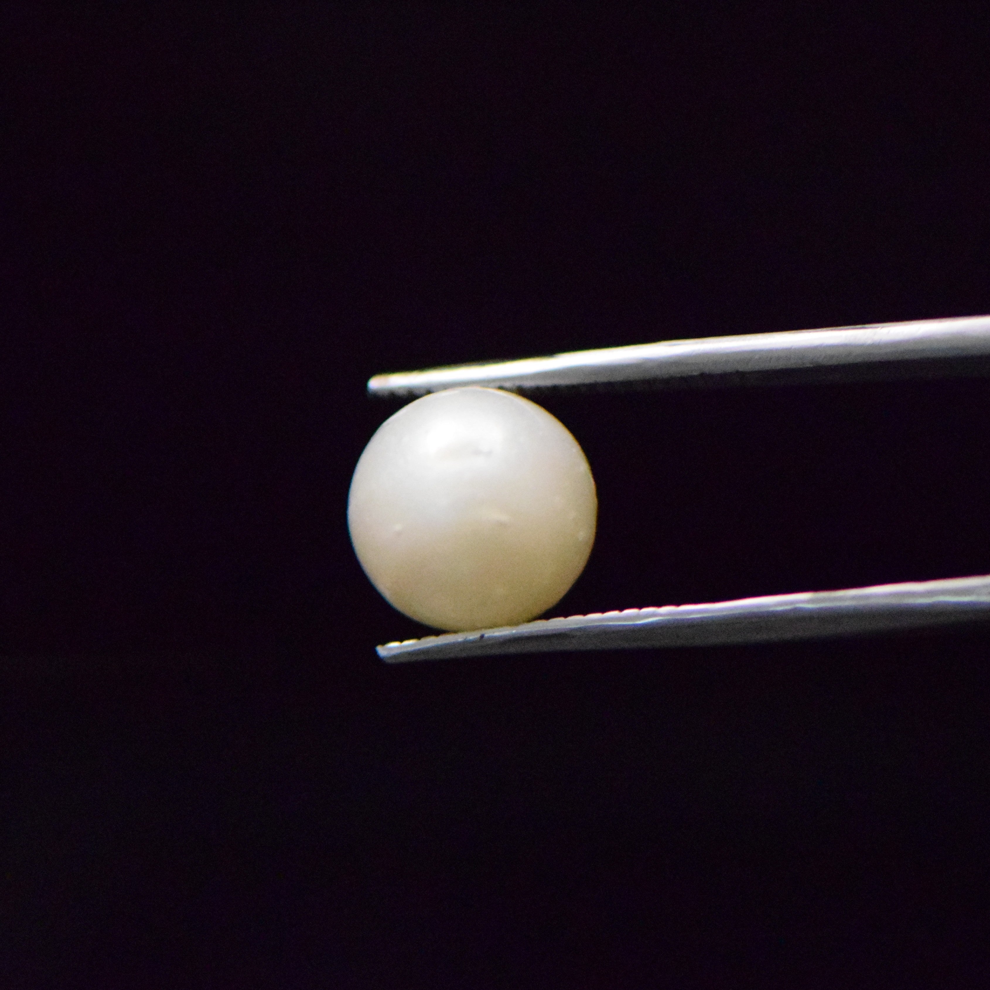 South Sea Pearl - 8.43 Carat