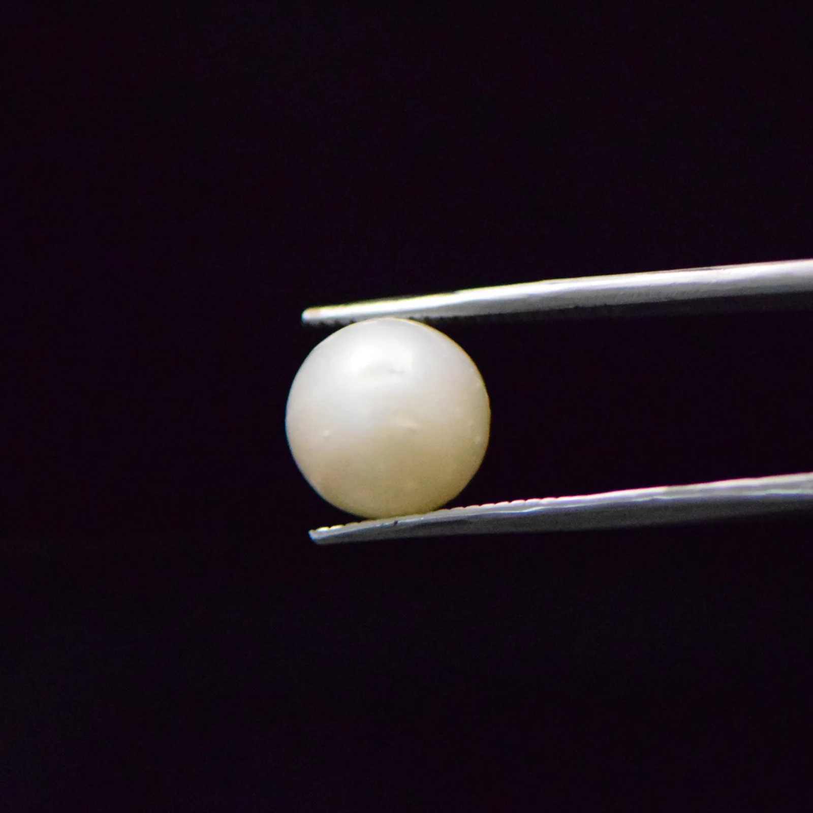 South Sea Pearl - 8.43 Carat
