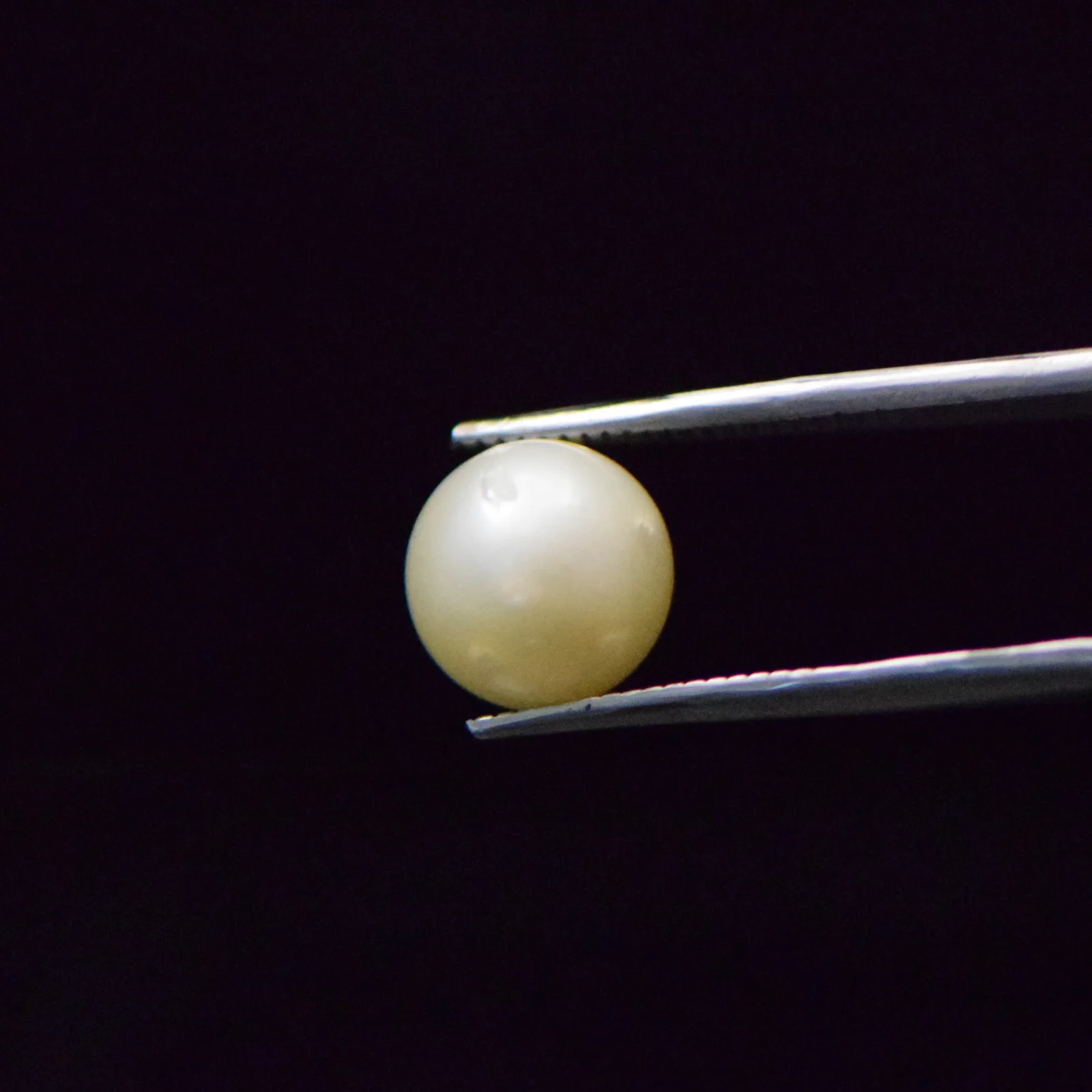 South Sea Pearl - 7.2 Carat