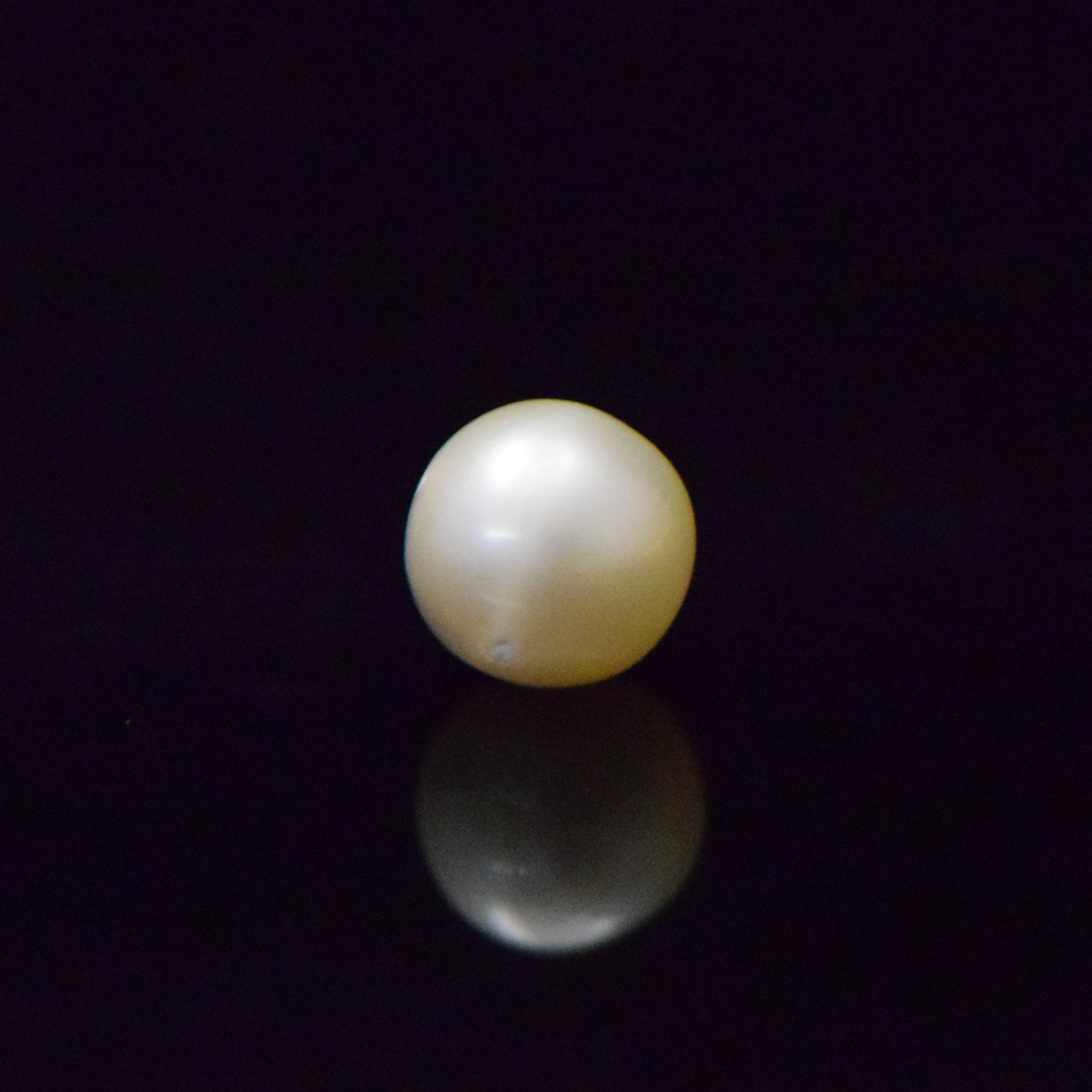 South Sea Pearl - 7.69 Carat