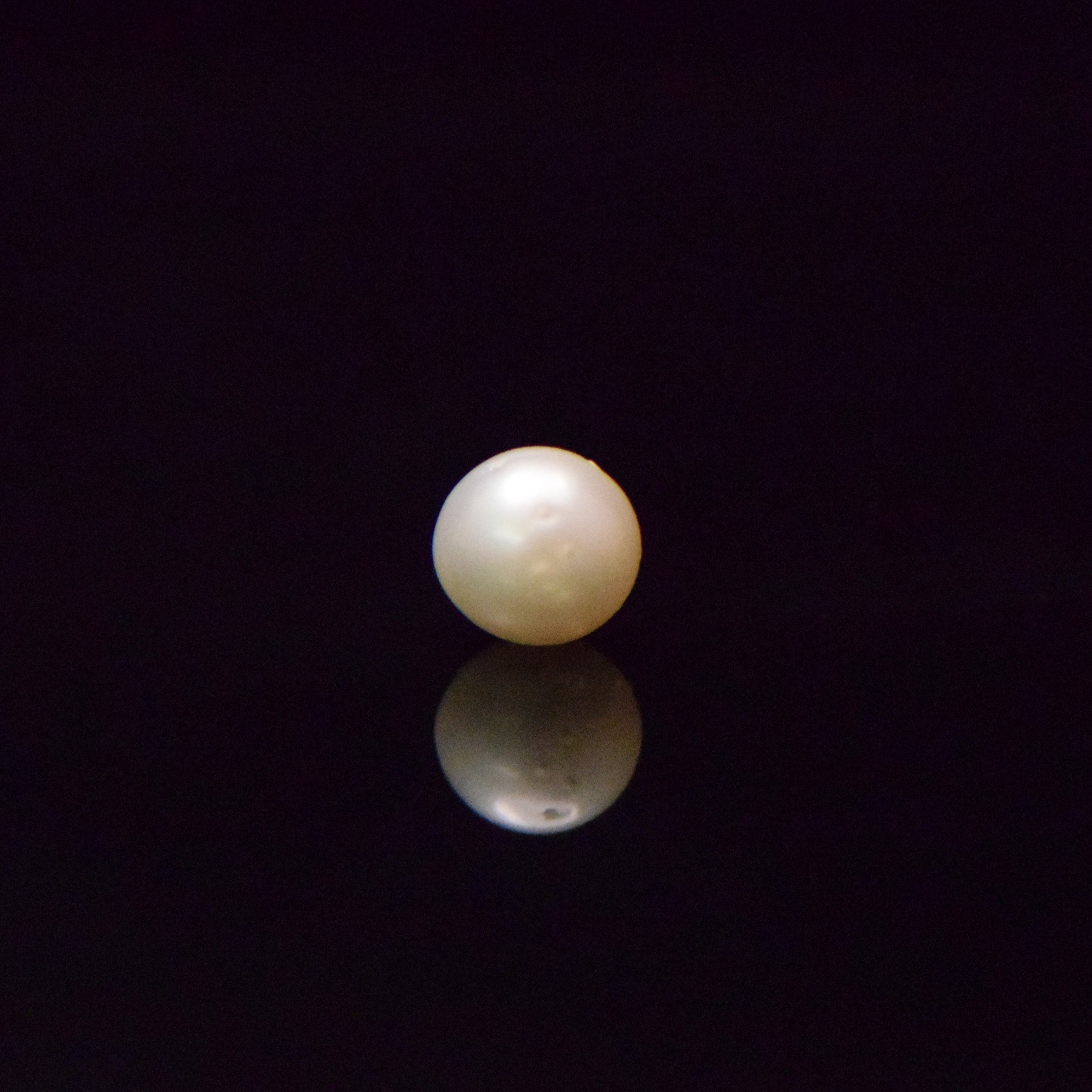 South Sea Pearl - 5.51 Carat