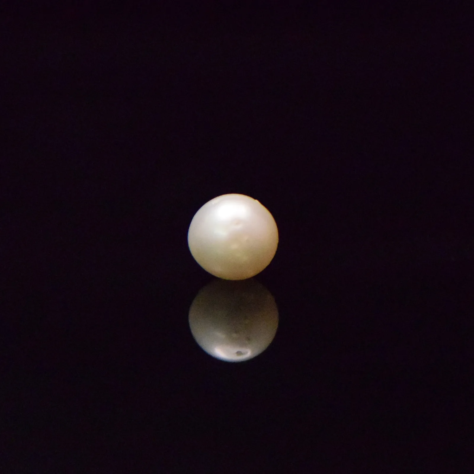 South Sea Pearl - 5.51 Carat