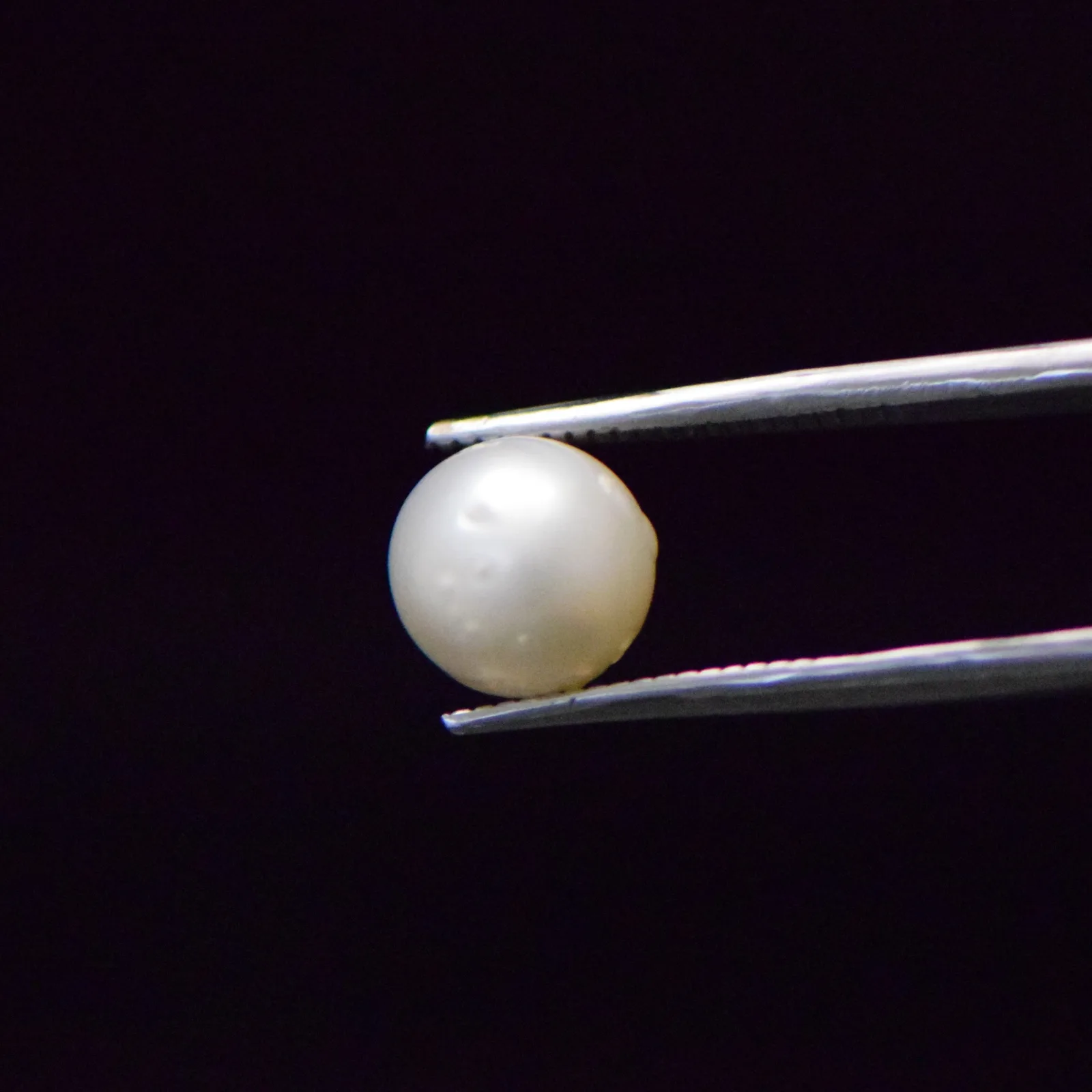South Sea Pearl - 5.51 Carat