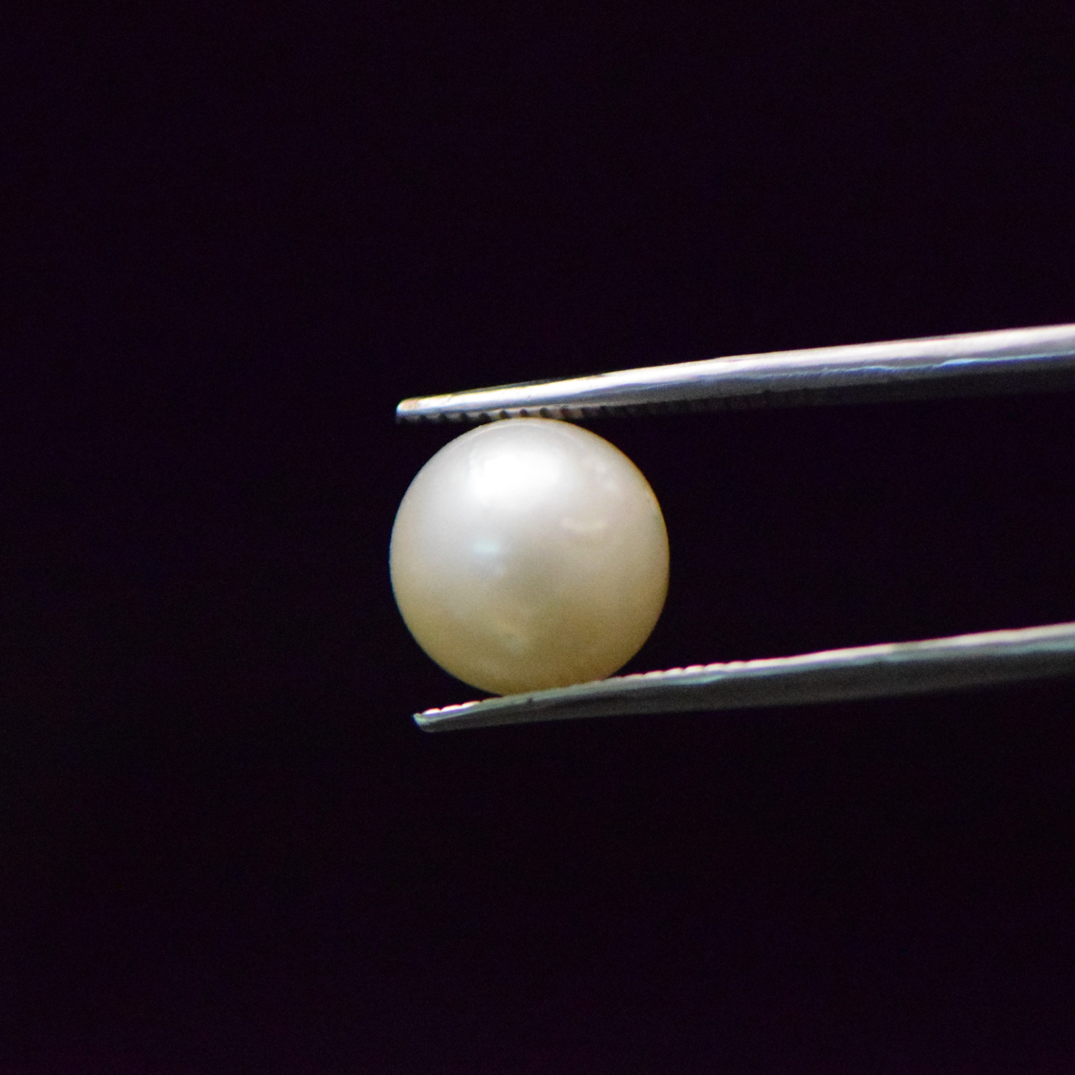 South Sea Pearl - 9.27 Carat