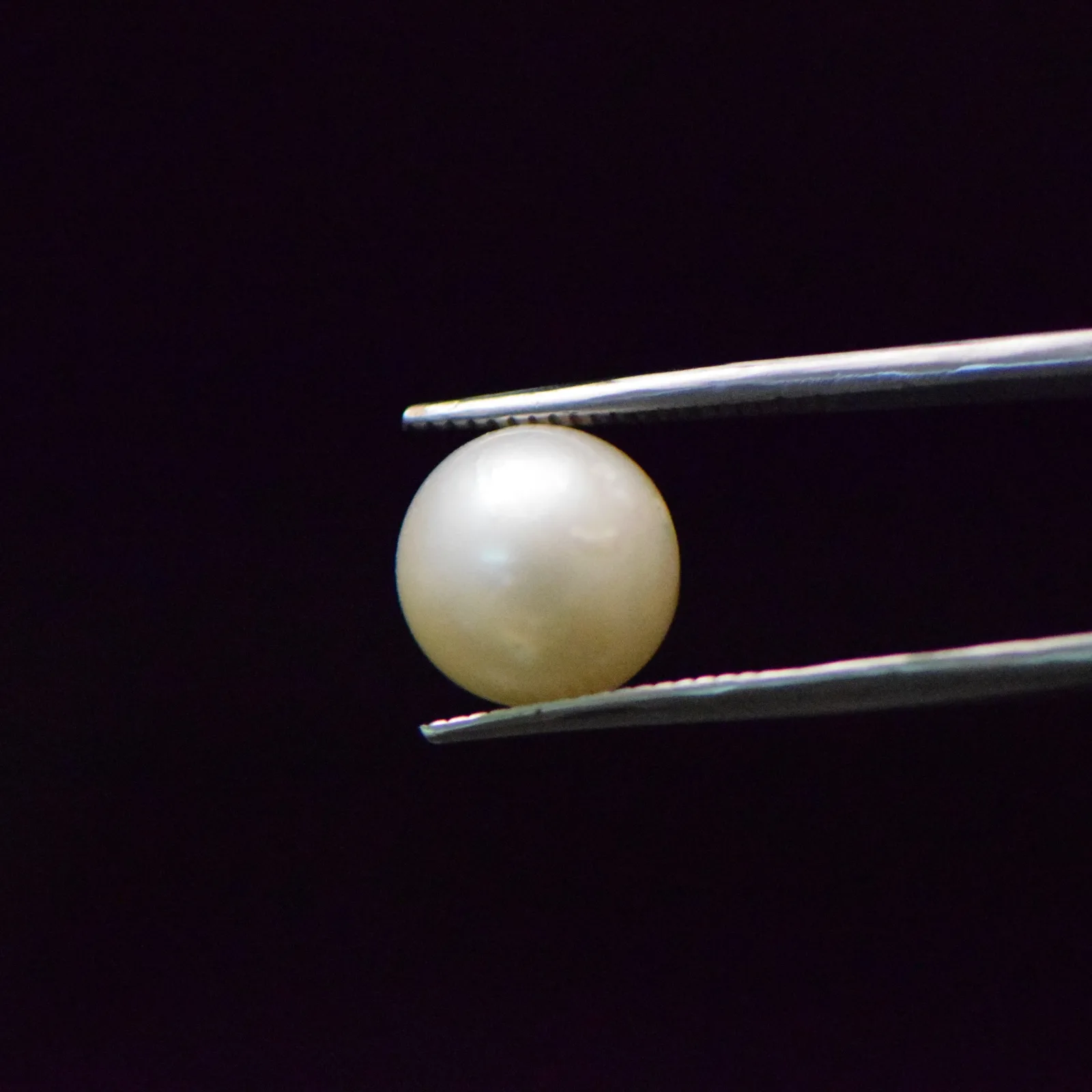 South Sea Pearl - 9.27 Carat