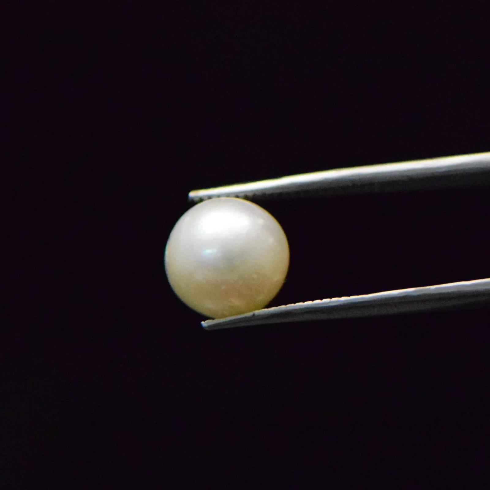 South Sea Pearl - 9.3 Carat