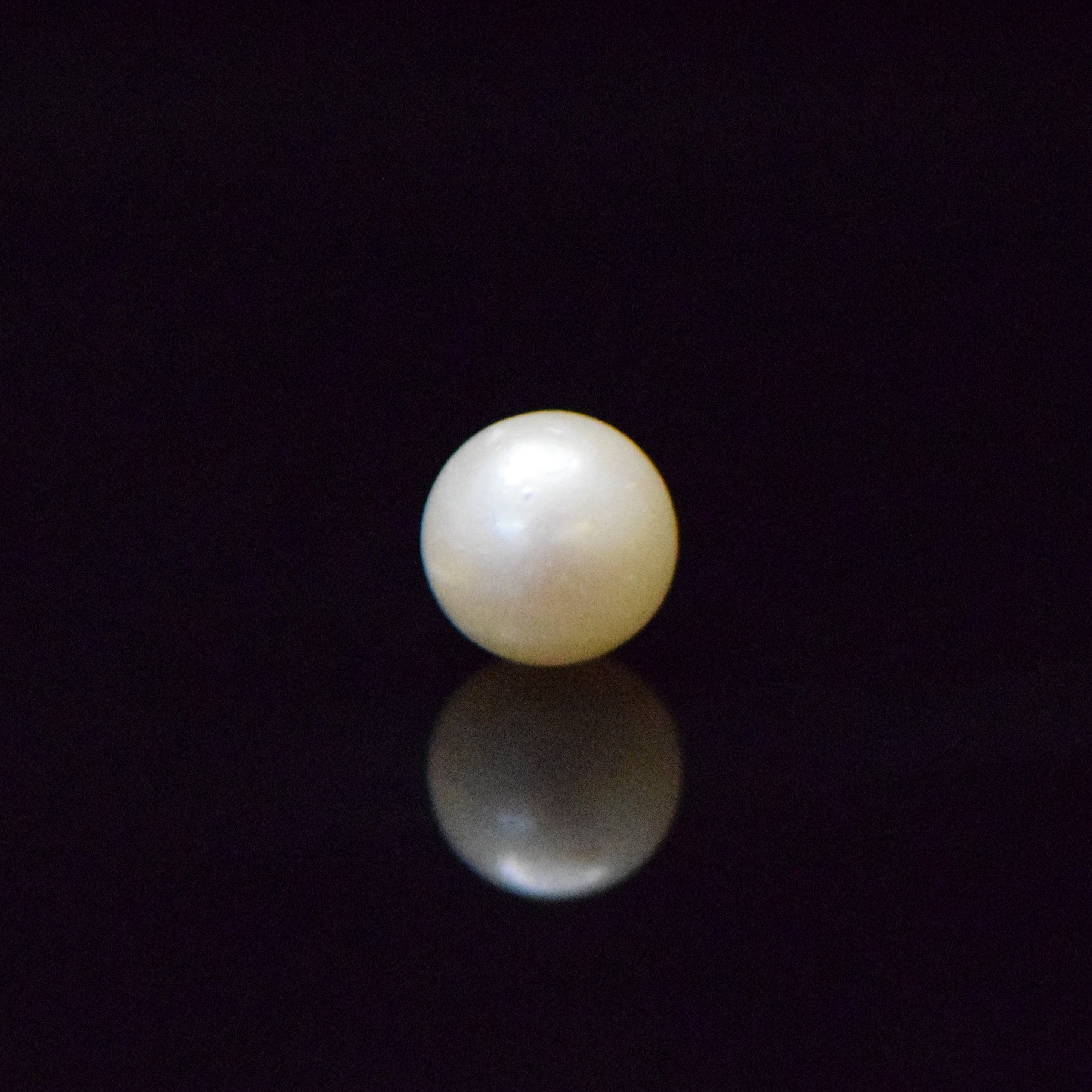 South Sea Pearl - 8.33 Carat