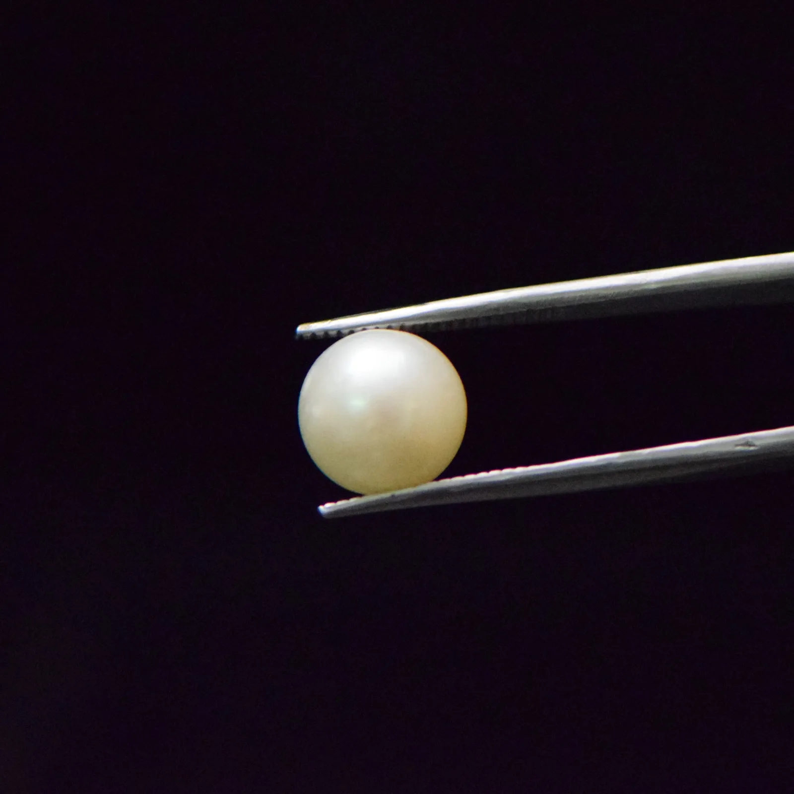 South Sea Pearl - 8.33 Carat