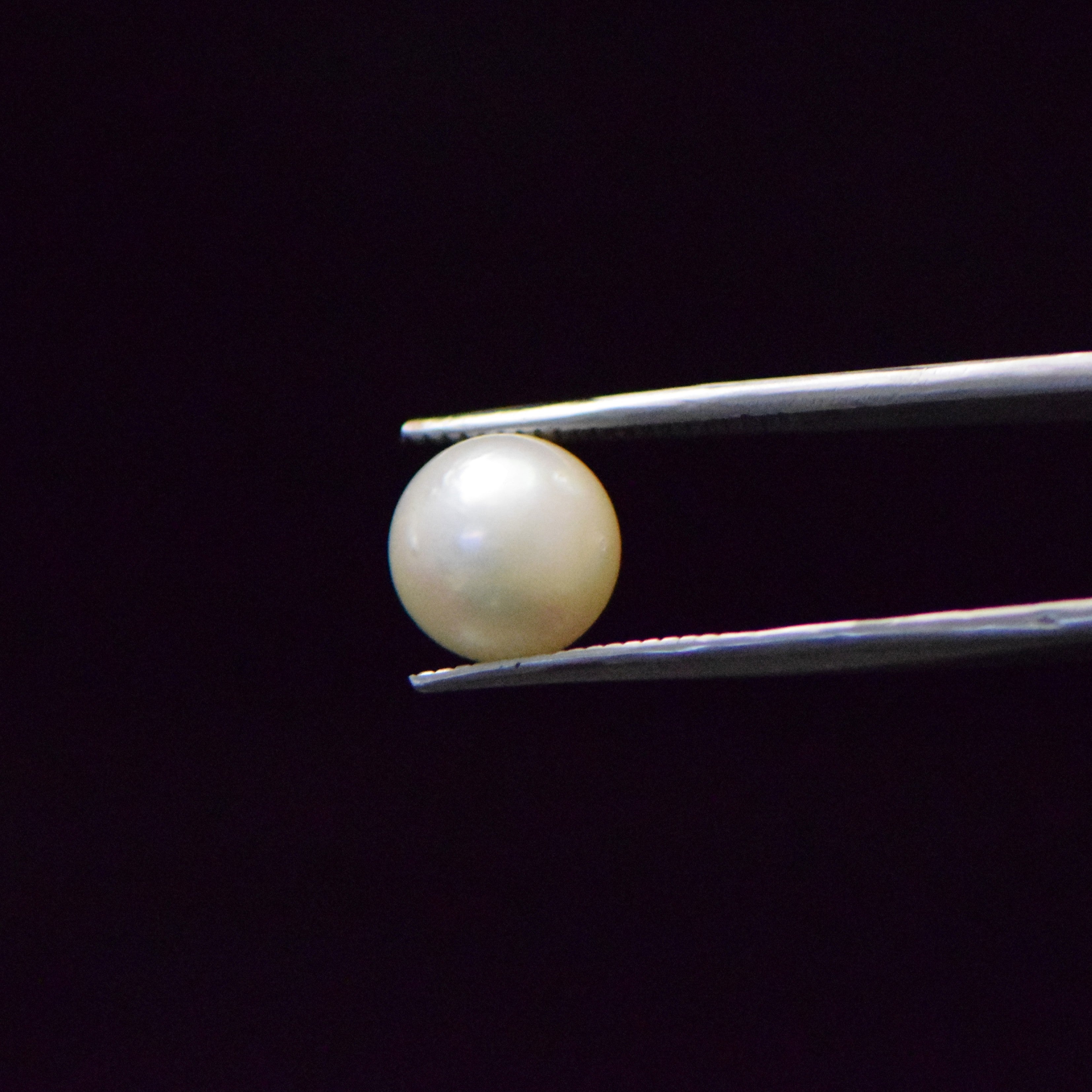 South Sea Pearl - 6.57 Carat