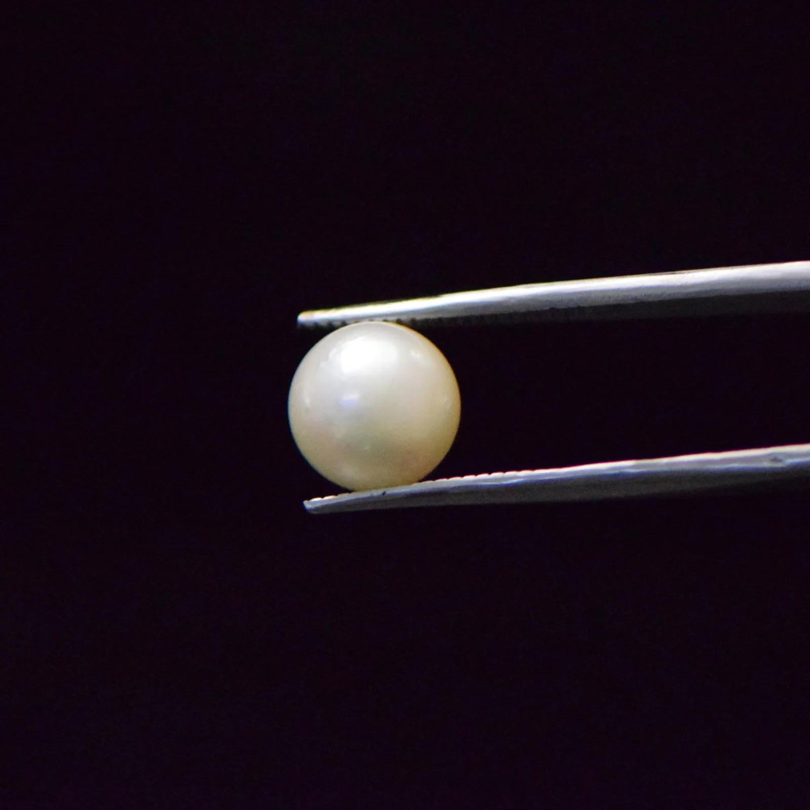 South Sea Pearl - 6.57 Carat