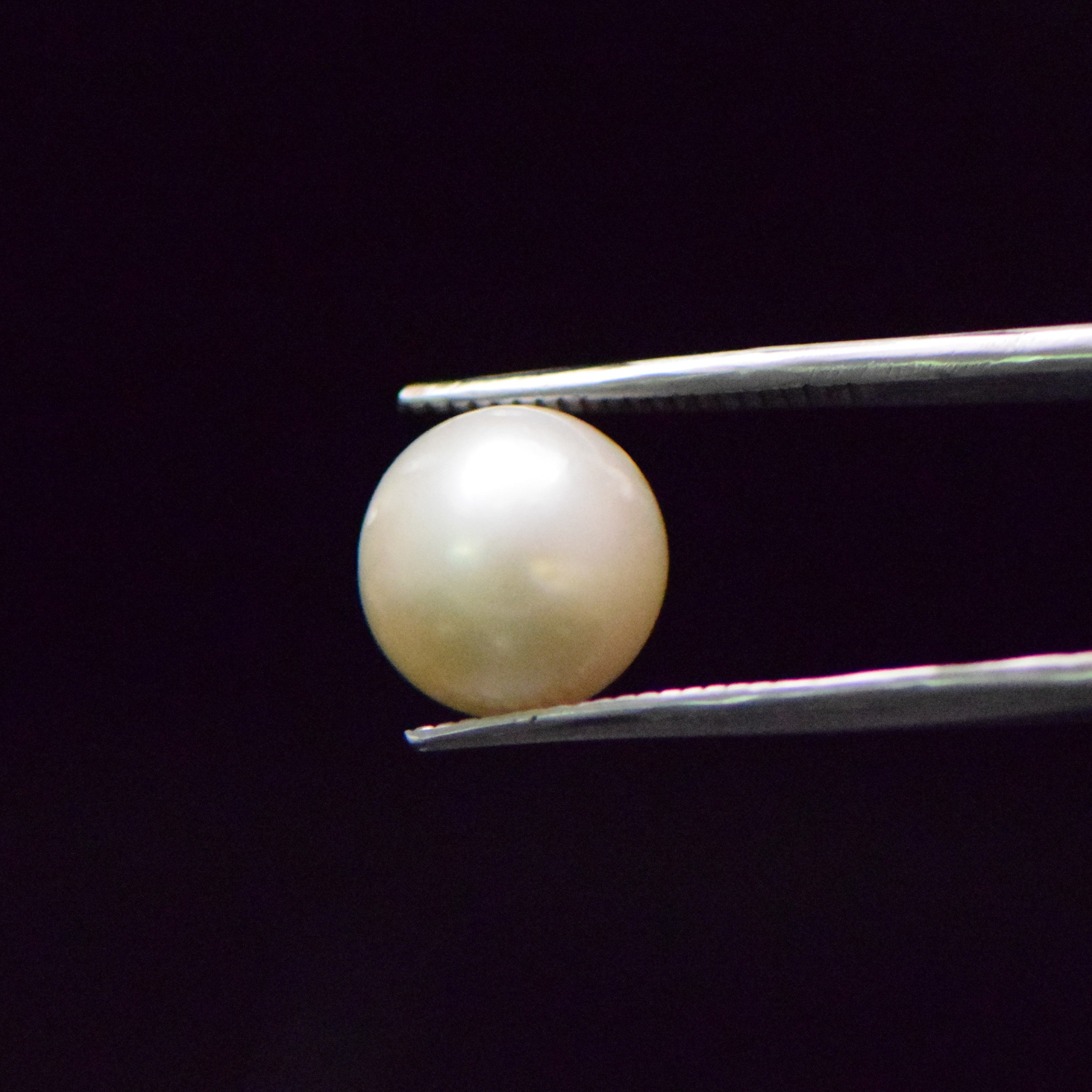 South Sea Pearl - 9.52 Carat