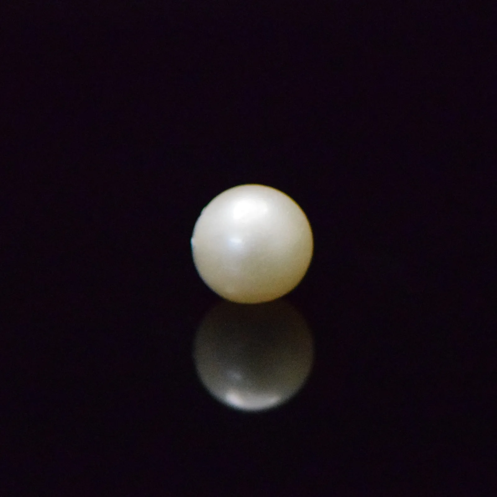 South Sea Pearl - 6.78 Carat
