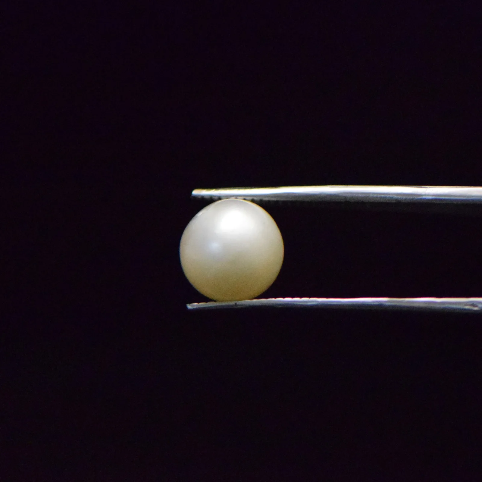 South Sea Pearl - 6.78 Carat