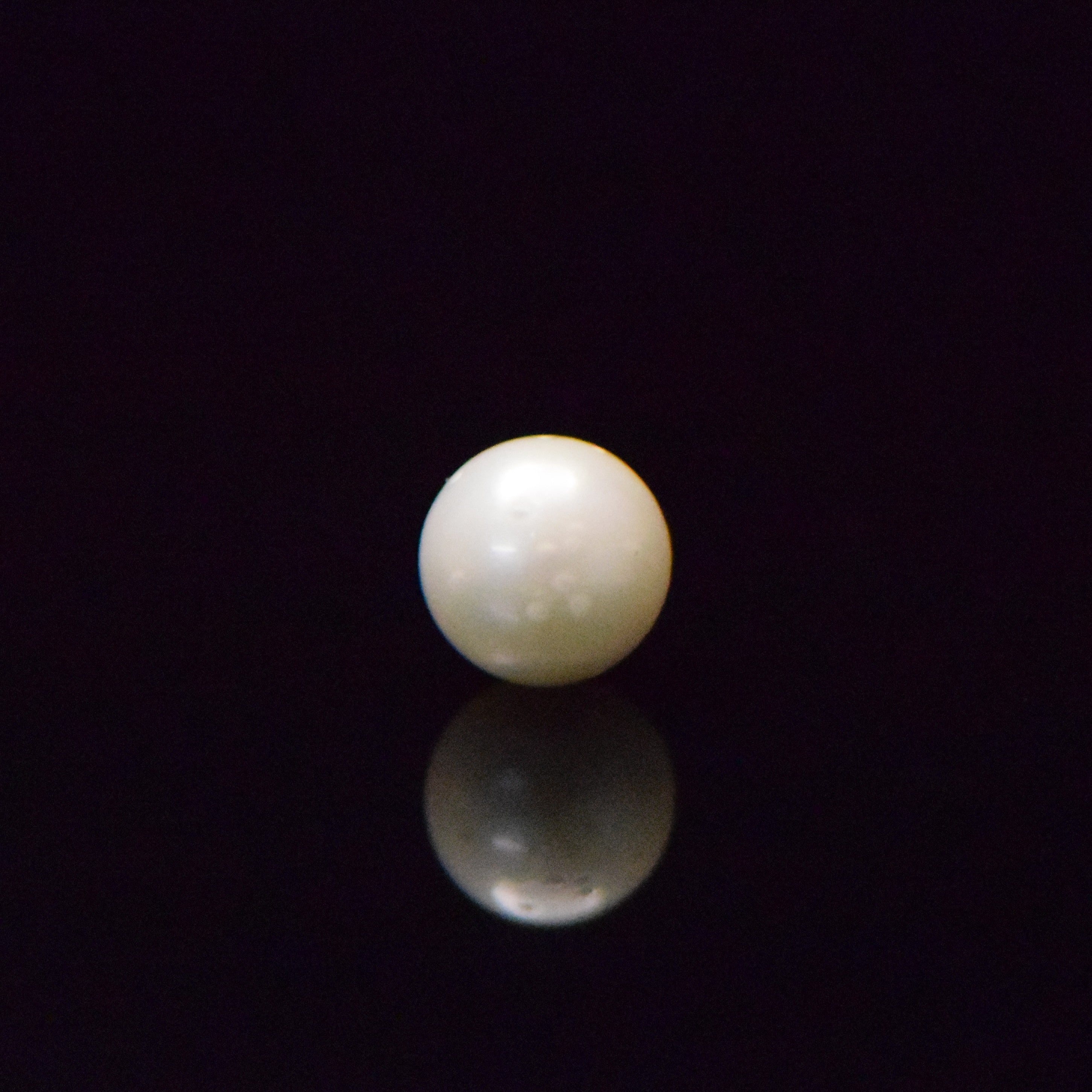 South Sea Pearl - 7.3 Carat