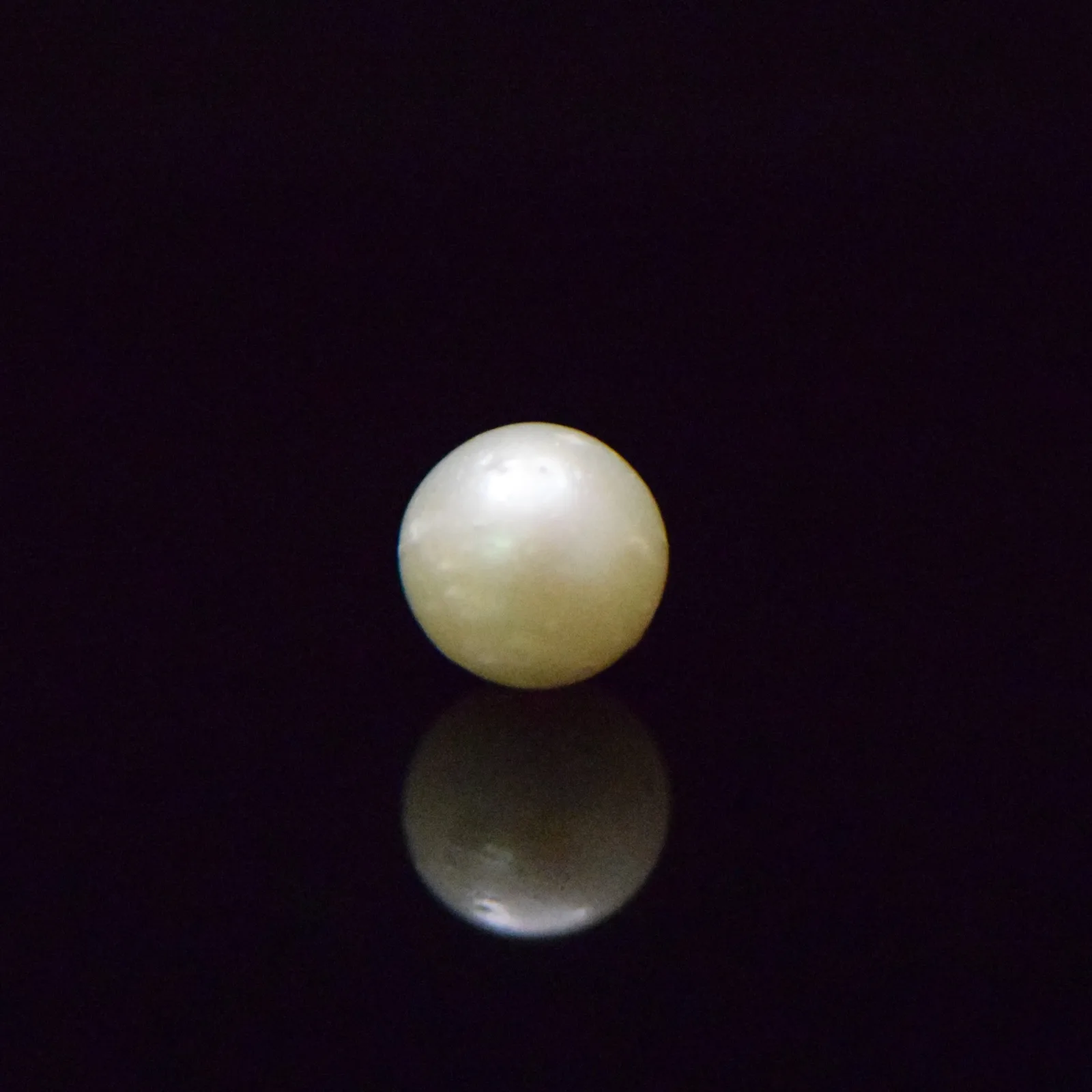 South Sea Pearl - 6.45 Carat