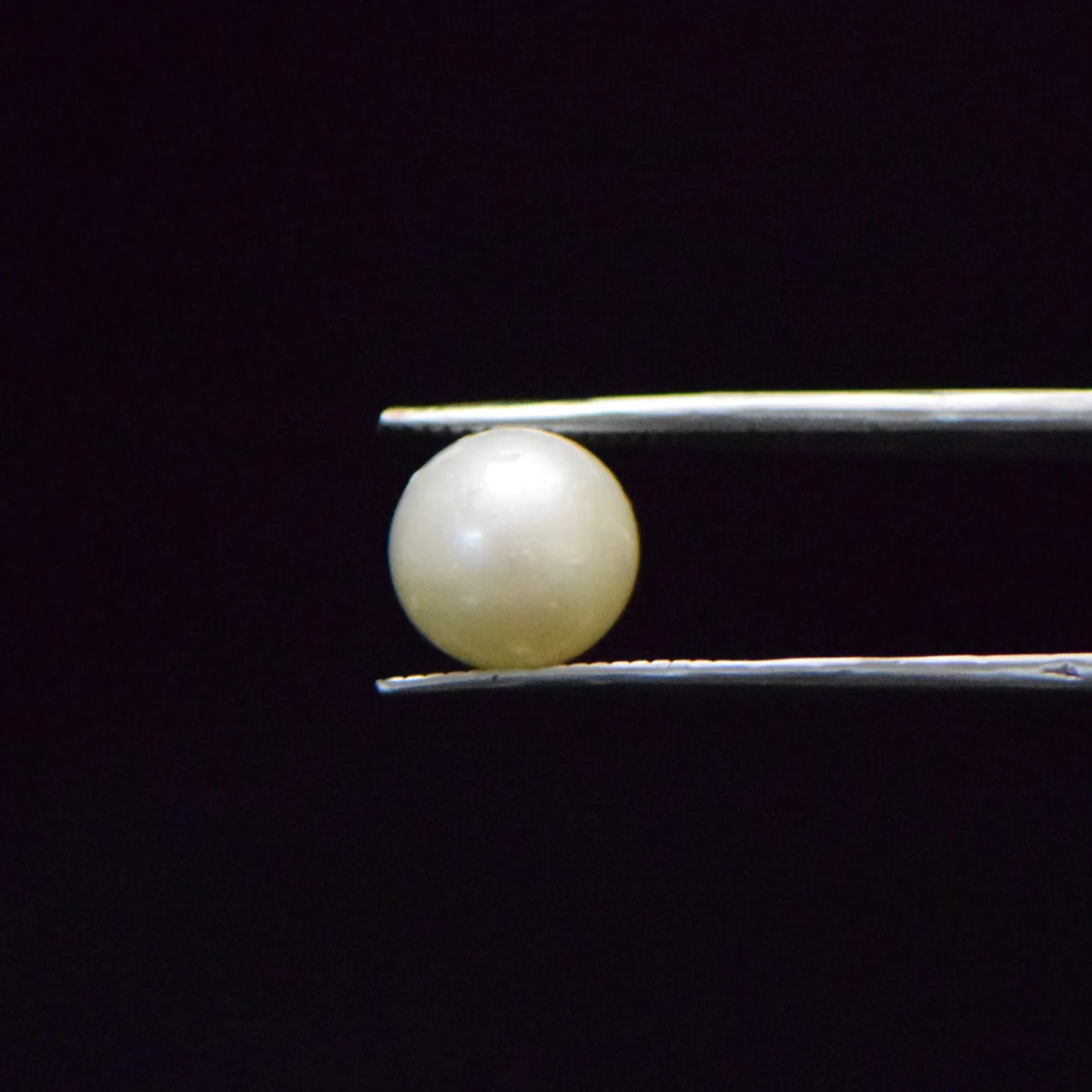 South Sea Pearl - 6.45 Carat