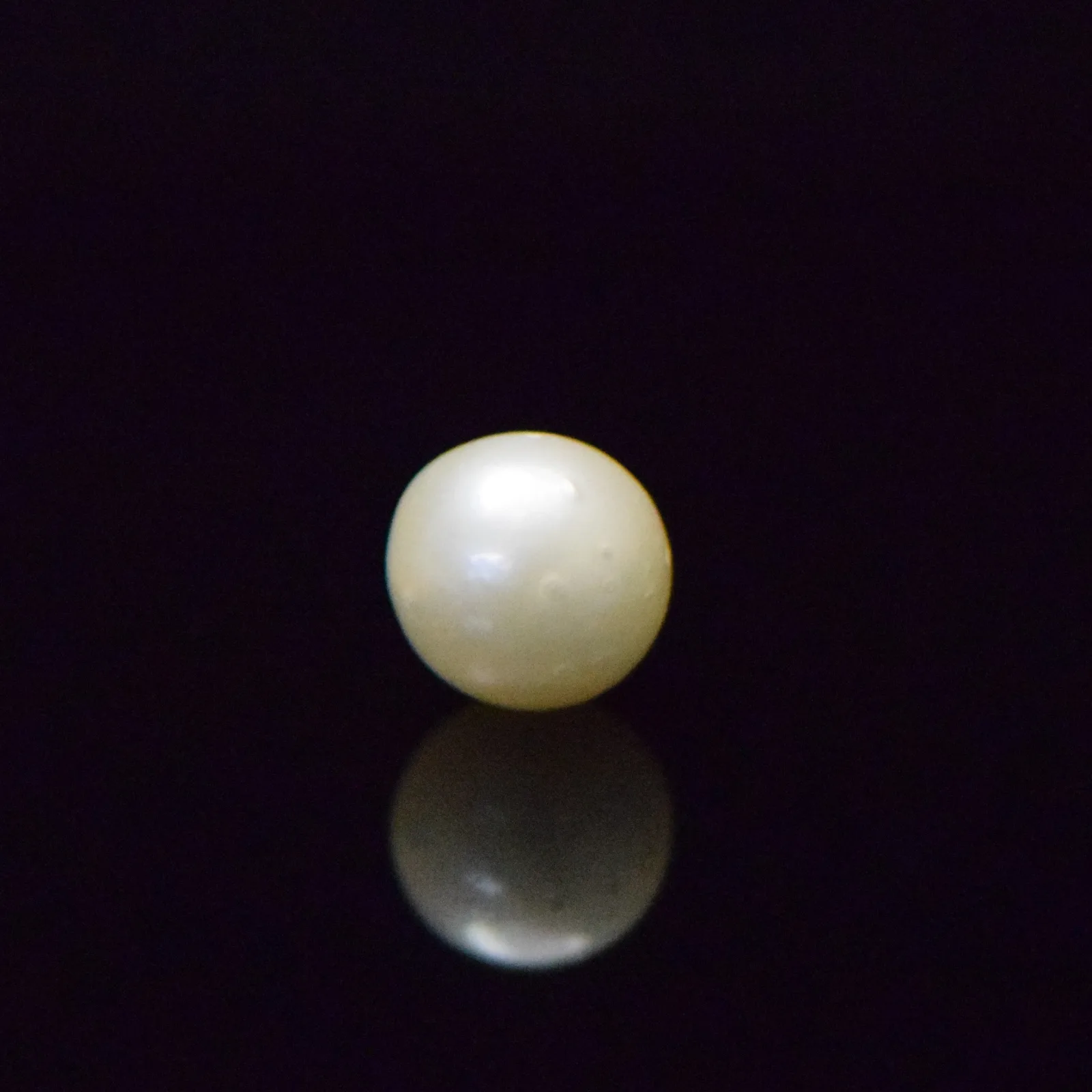 South Sea Pearl - 8.37 Carat