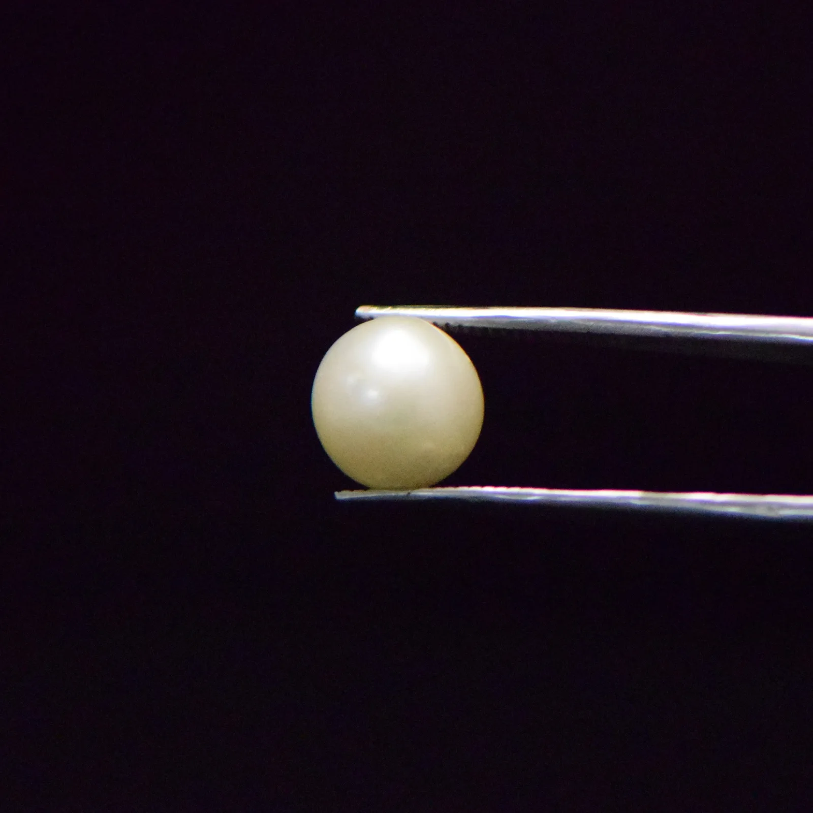 South Sea Pearl - 8.37 Carat