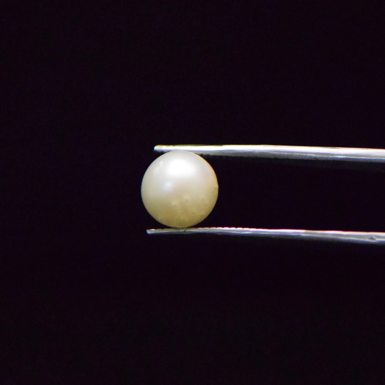 South Sea Pearl - 5.51 Carat