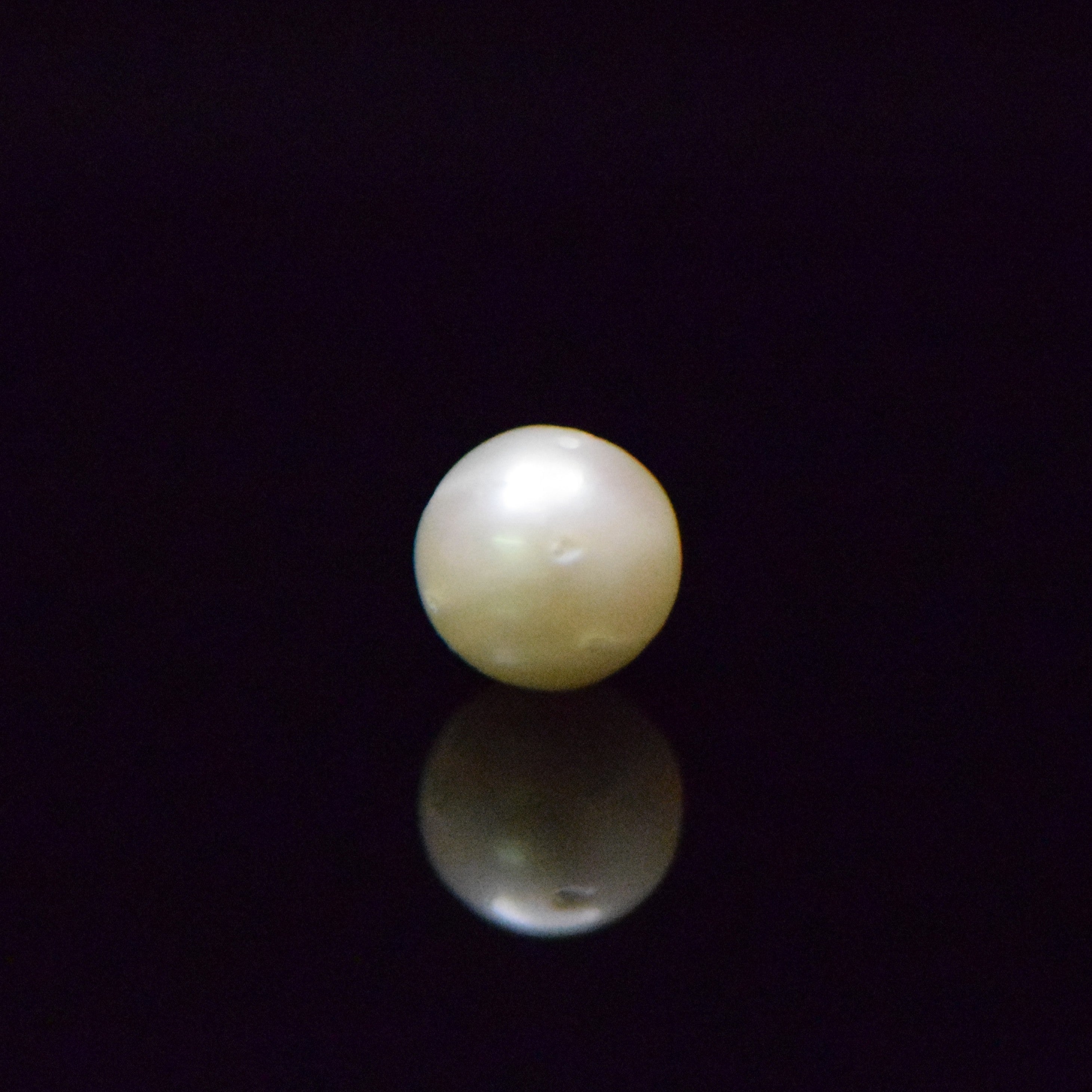 South Sea Pearl - 8.4 Carat