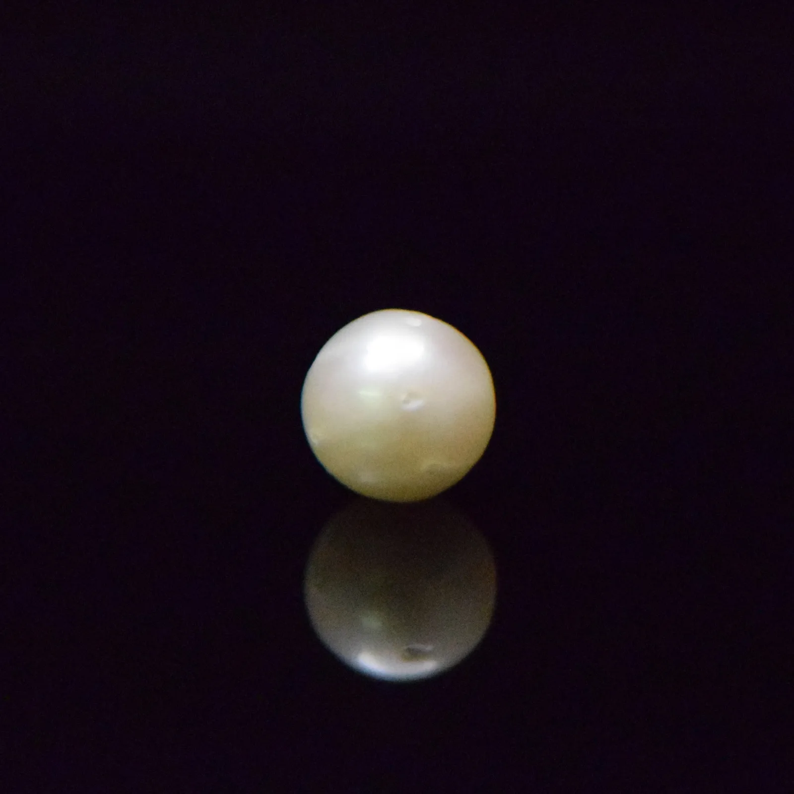 South Sea Pearl - 8.4 Carat