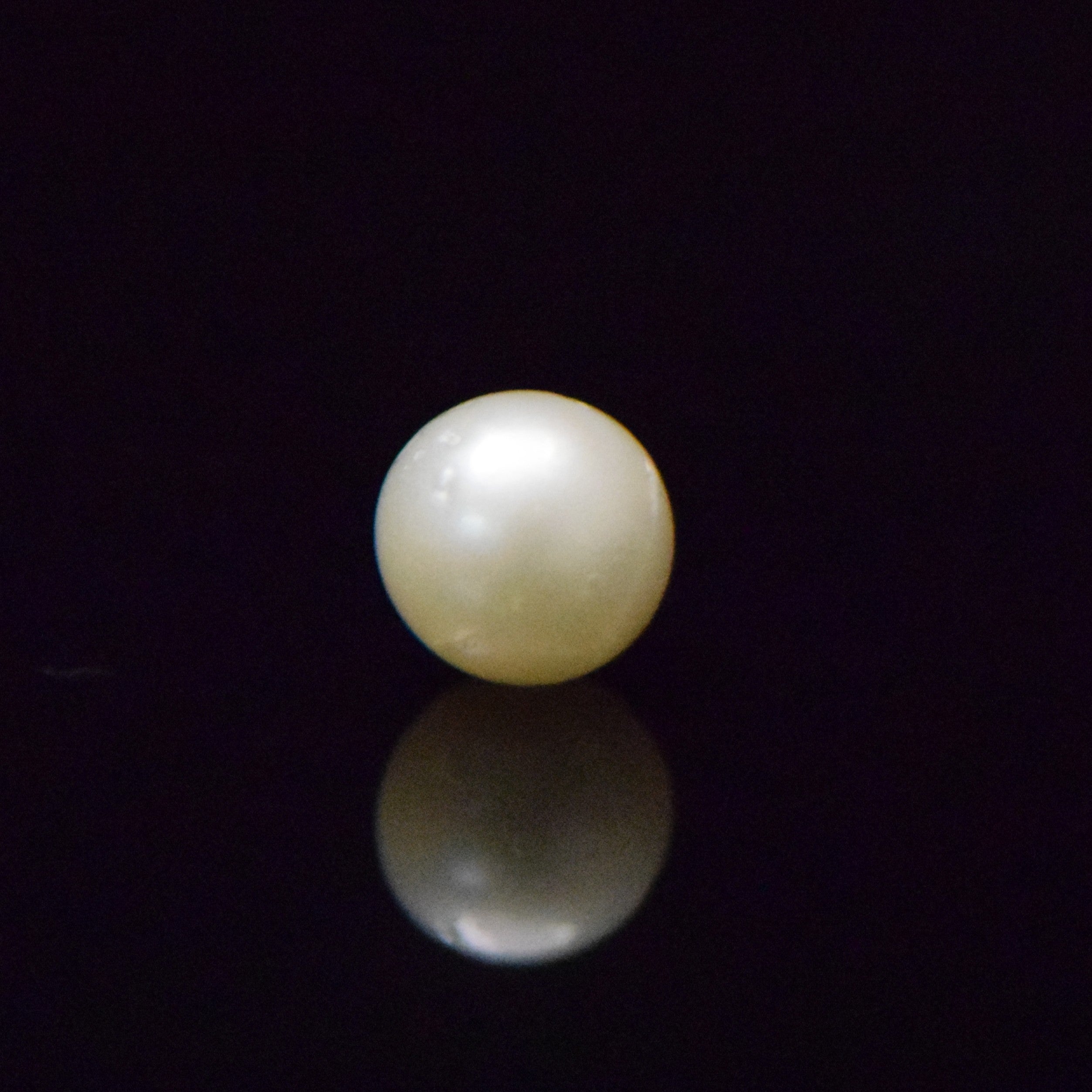 South Sea Pearl - 8.48 Carat