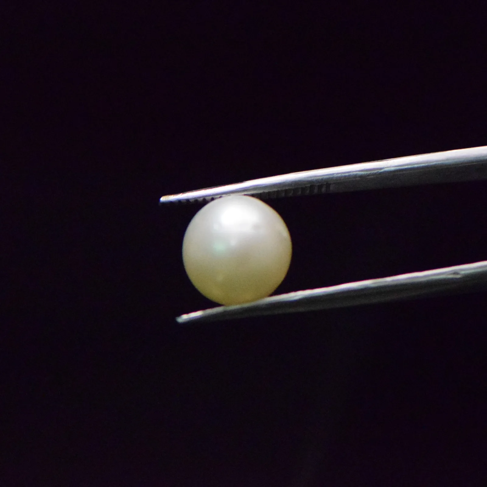 South Sea Pearl - 8.48 Carat