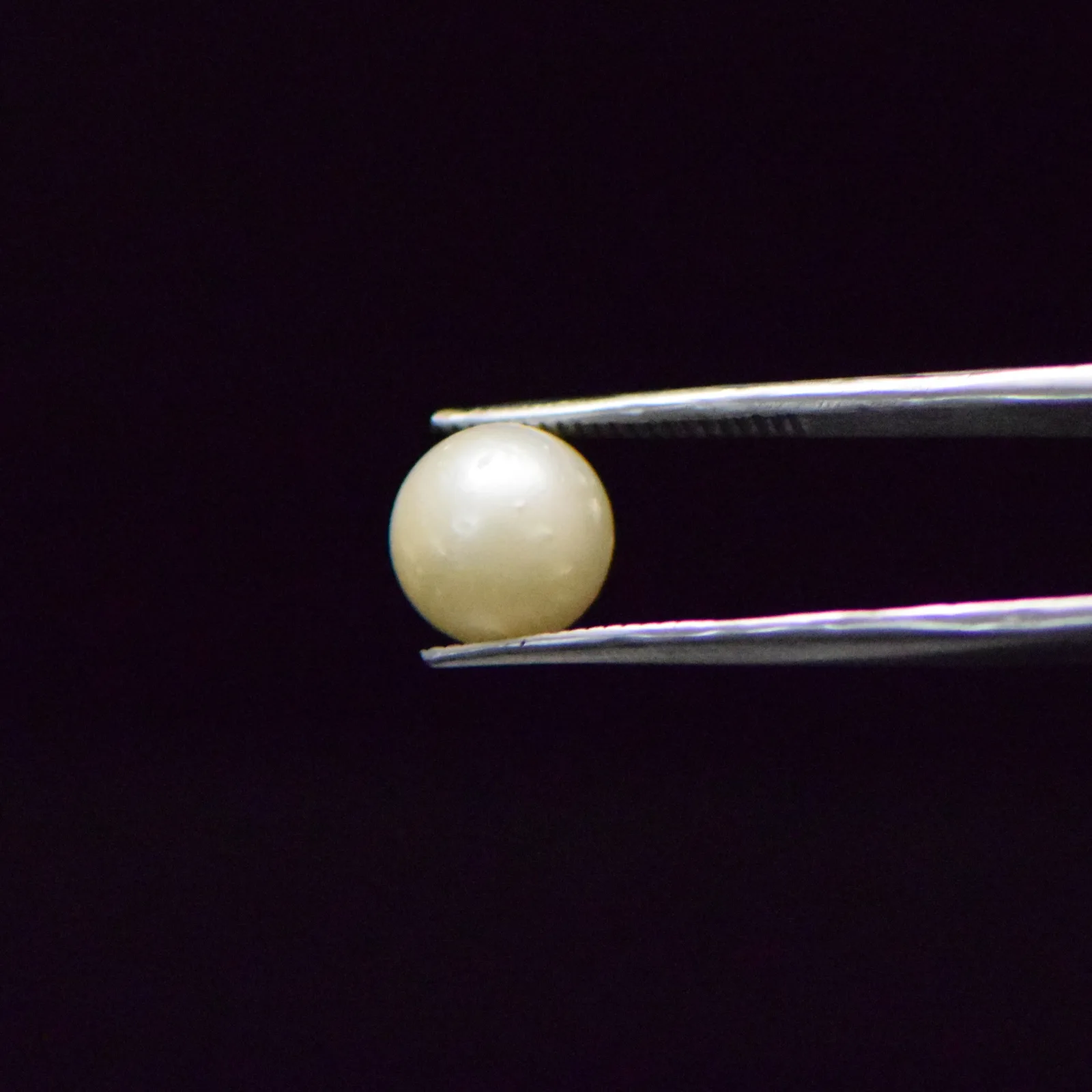 South Sea Pearl - 6.67 Carat