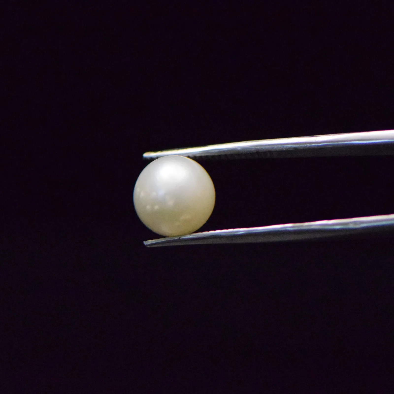 South Sea Pearl - 7.72 Carat