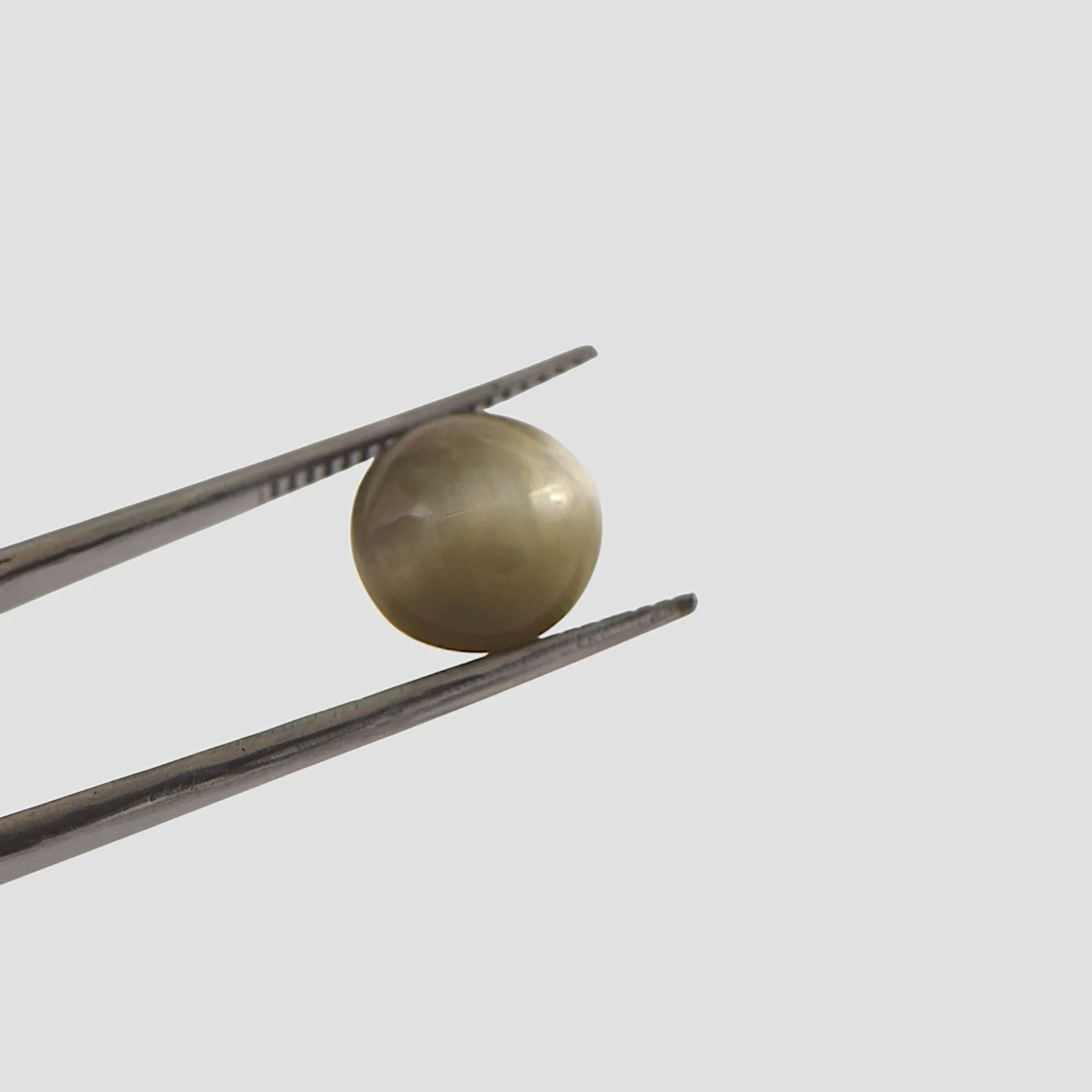 Cat's Eye - 4.74 Carat / AAA-Quality