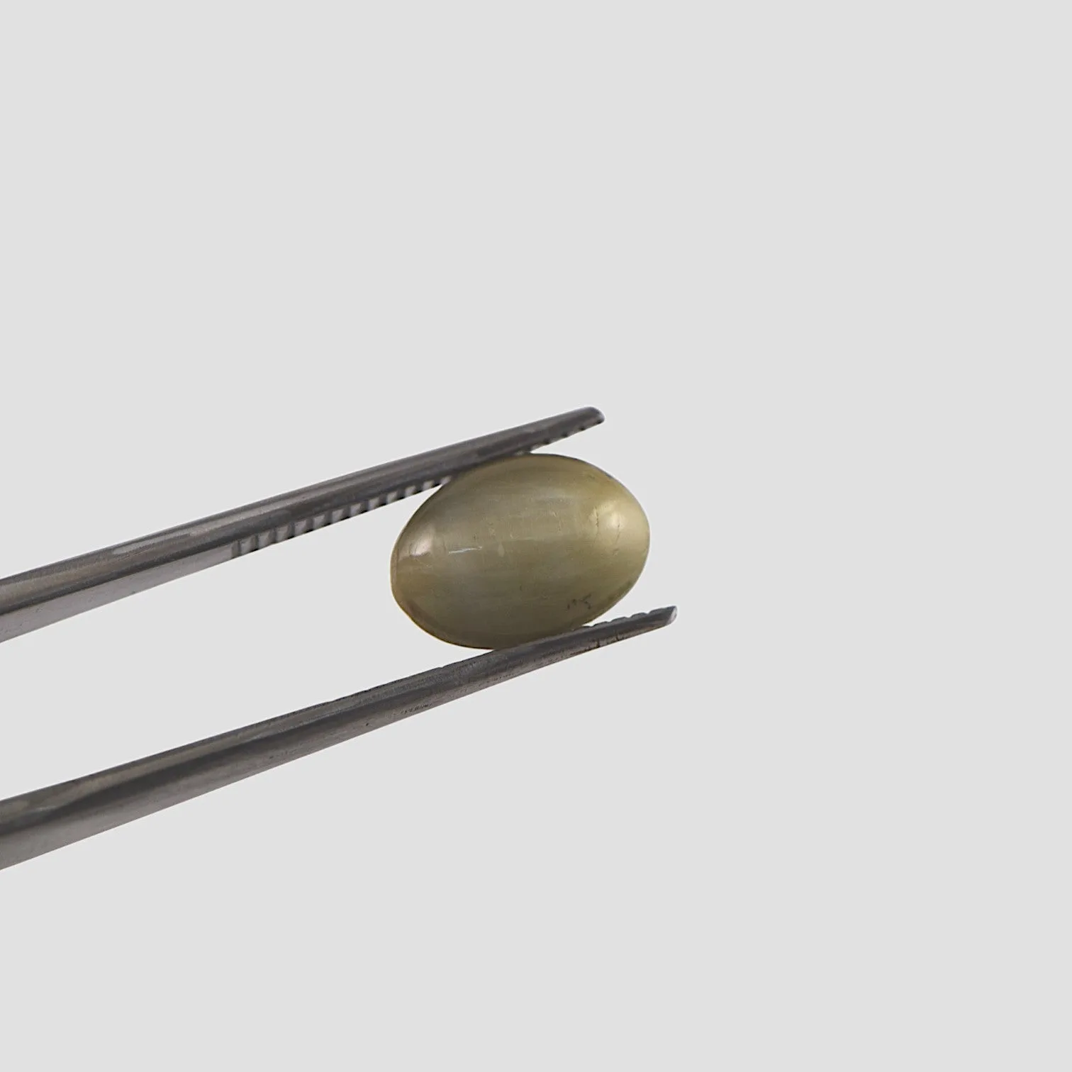 Cat's Eye - 2.91 Carat / AAA-Quality