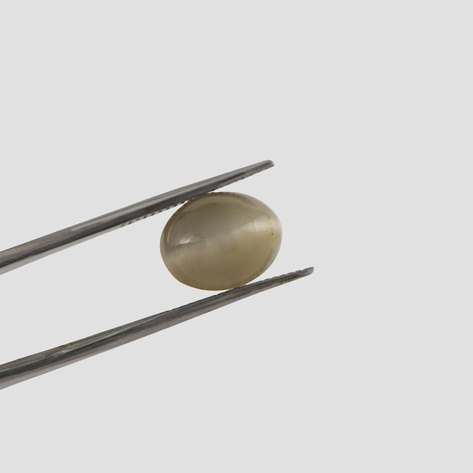 Cat's Eye - 5.57 Carat / AAA-Quality