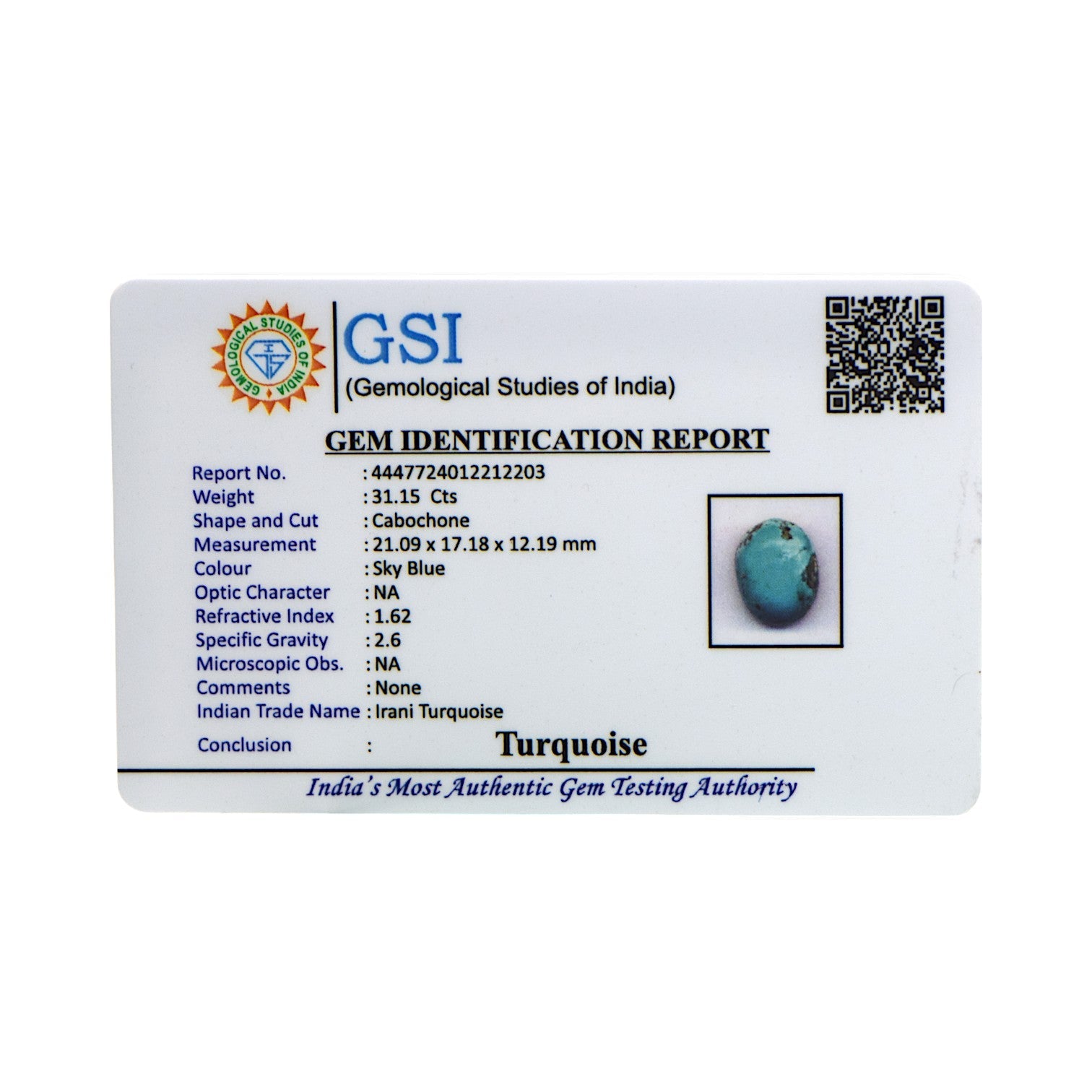 Irani Turquoise - 31.15 Carat / AA-Quality
