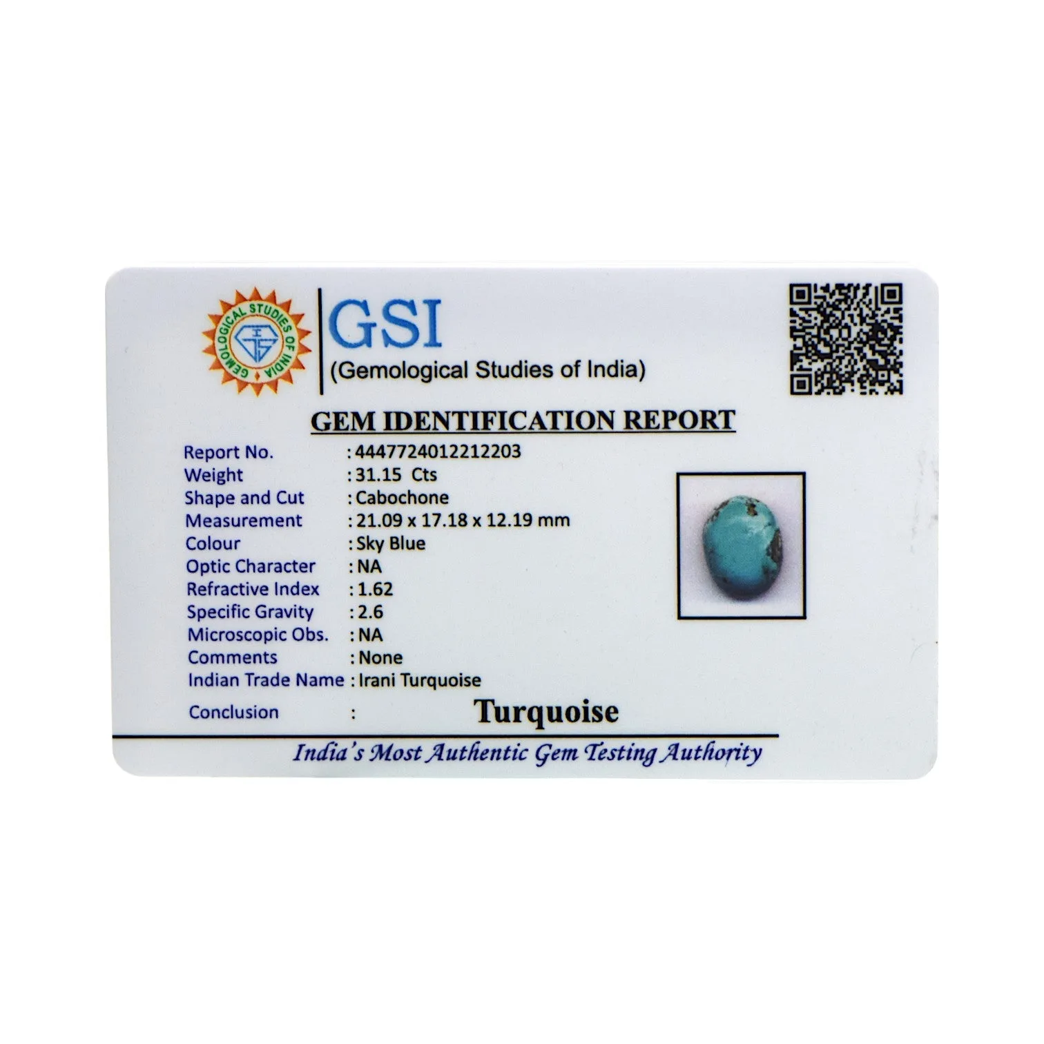 Irani Turquoise - 31.15 Carat / AA-Quality