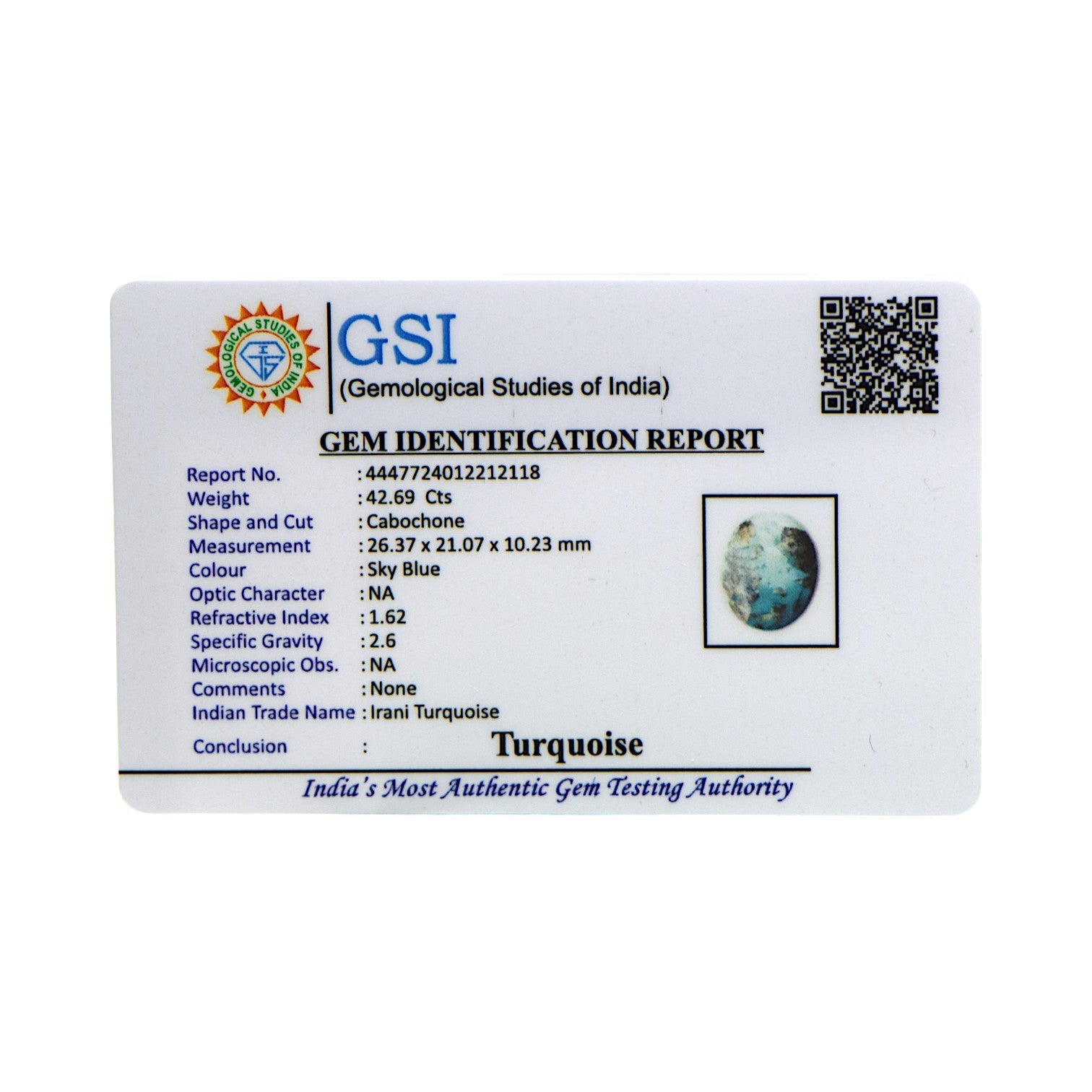 Irani Turquoise - 42.69 Carat / AA-Quality