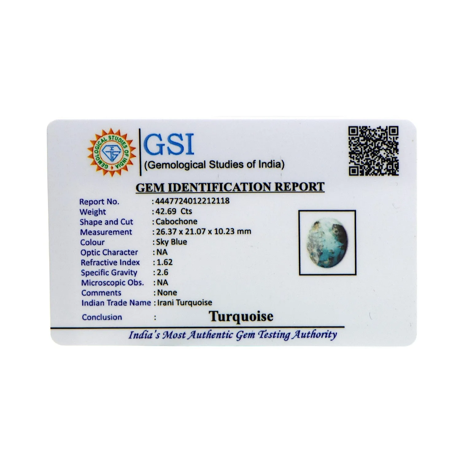 Irani Turquoise - 42.69 Carat / AA-Quality