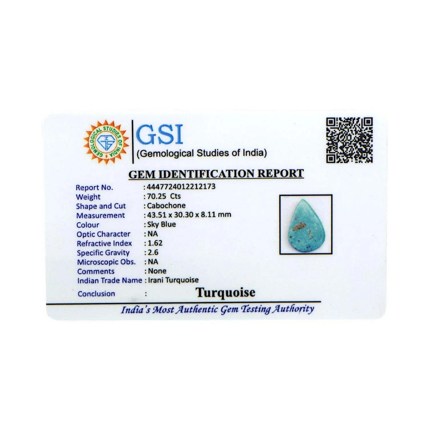 Irani Turquoise - 70.25 Carat / AA-Quality
