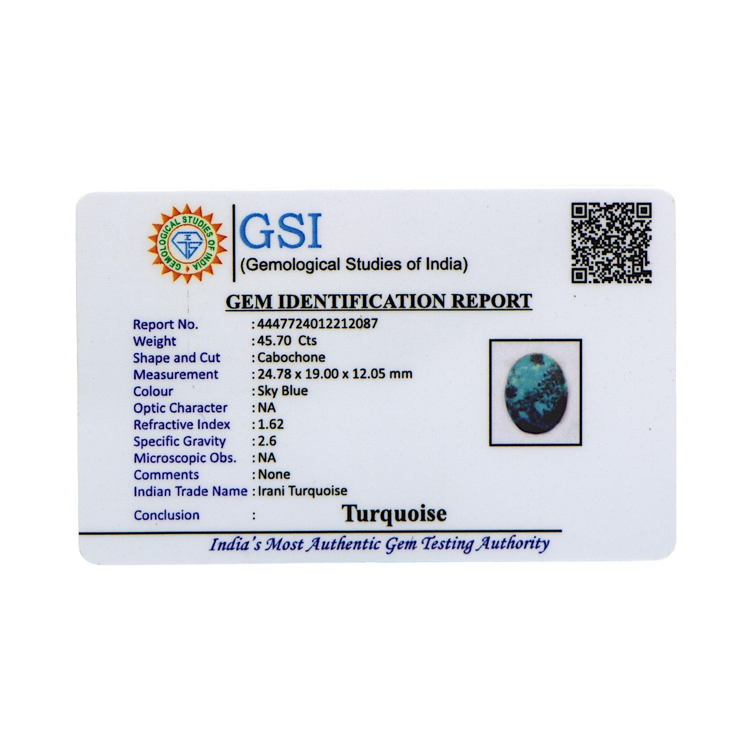 Irani Turquoise - 45.7 Carat / AA-Quality