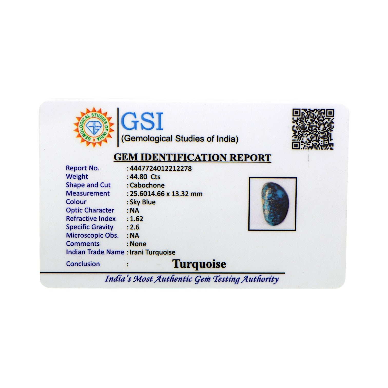 Irani Turquoise - 44.8 Carat / AAA-Quality
