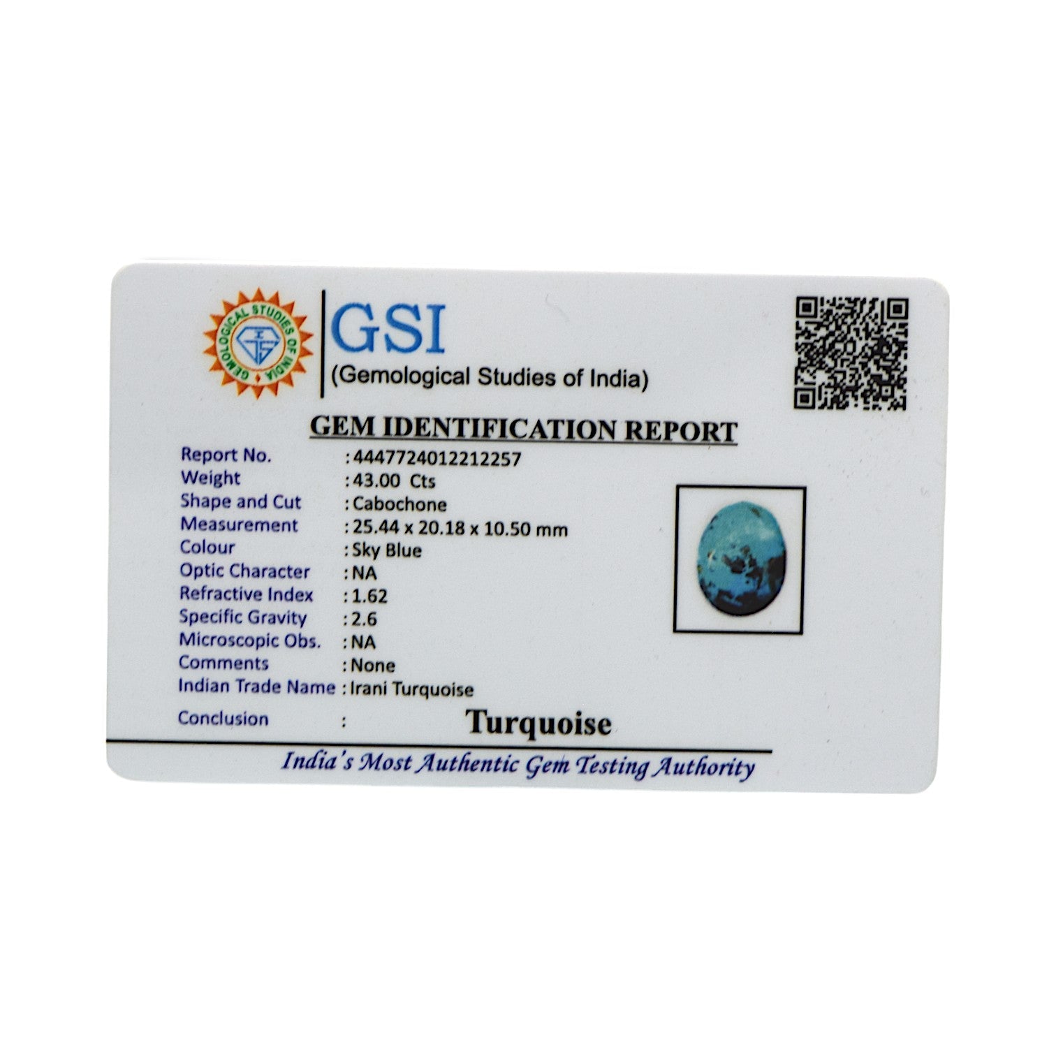 Irani Turquoise - 43 Carat / AAA-Quality