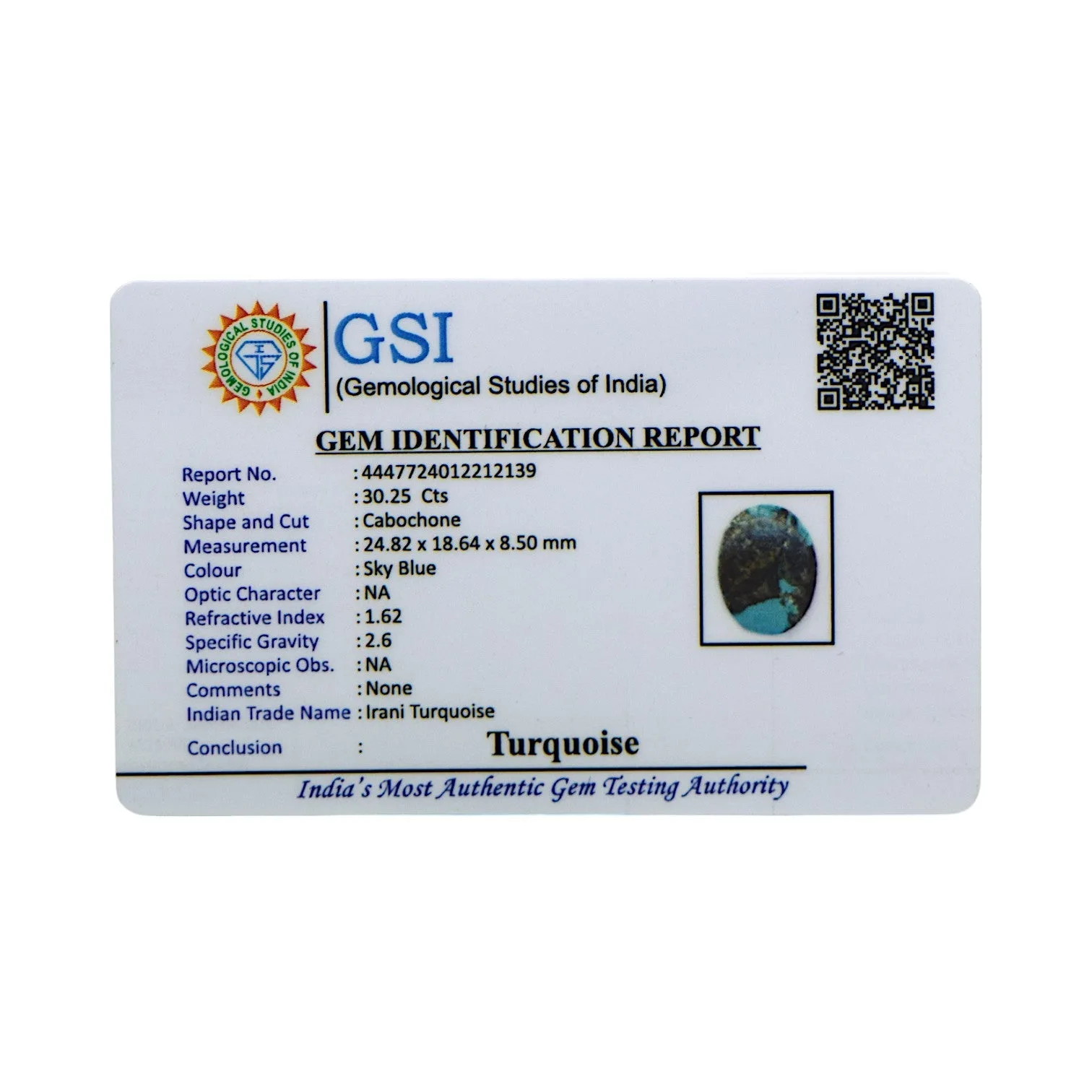 Irani Turquoise - 30.25 Carat / A-Quality